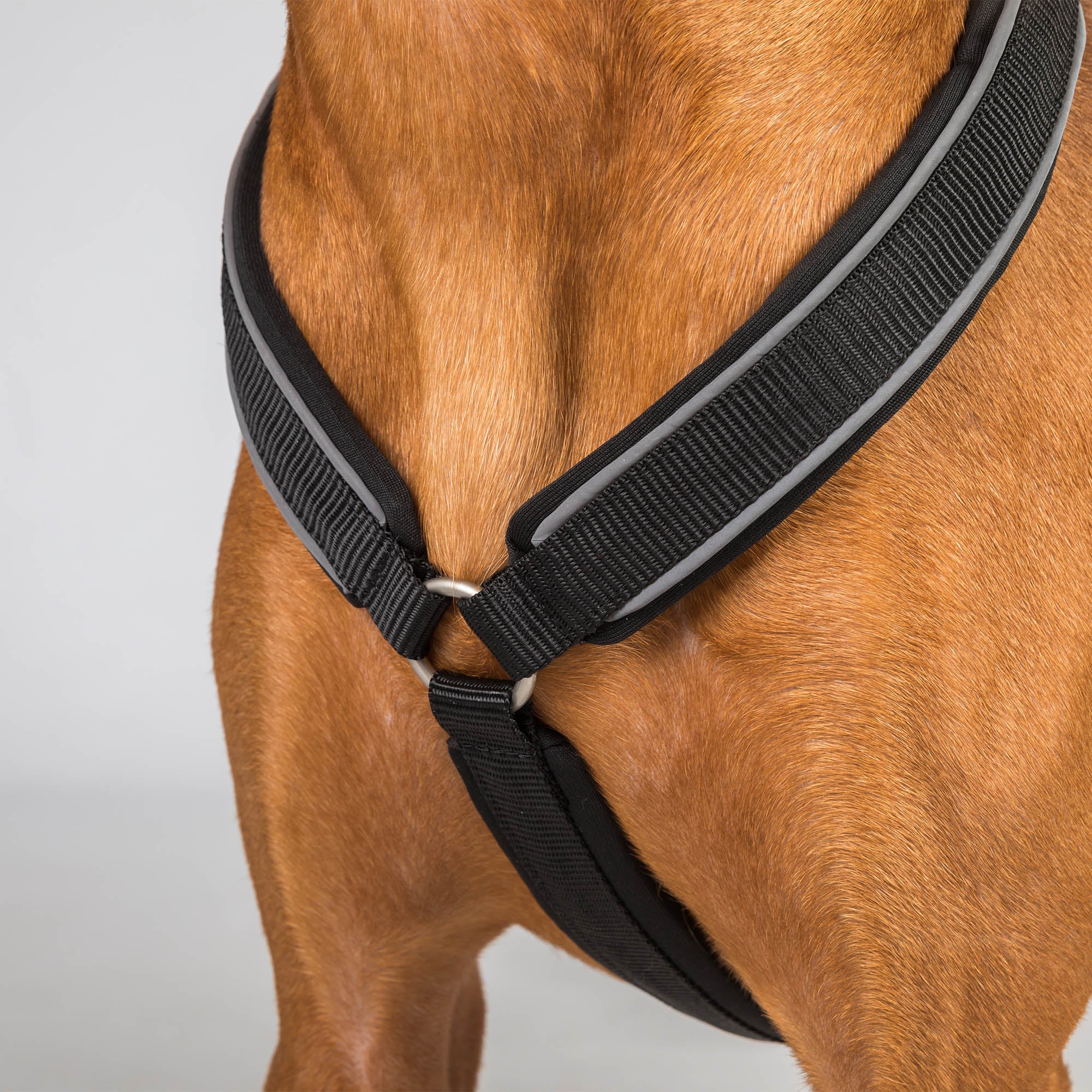 Back on Track Sally dog harness with ergonomic fit, breathable mesh, and infrared fabric for comfort and mobility