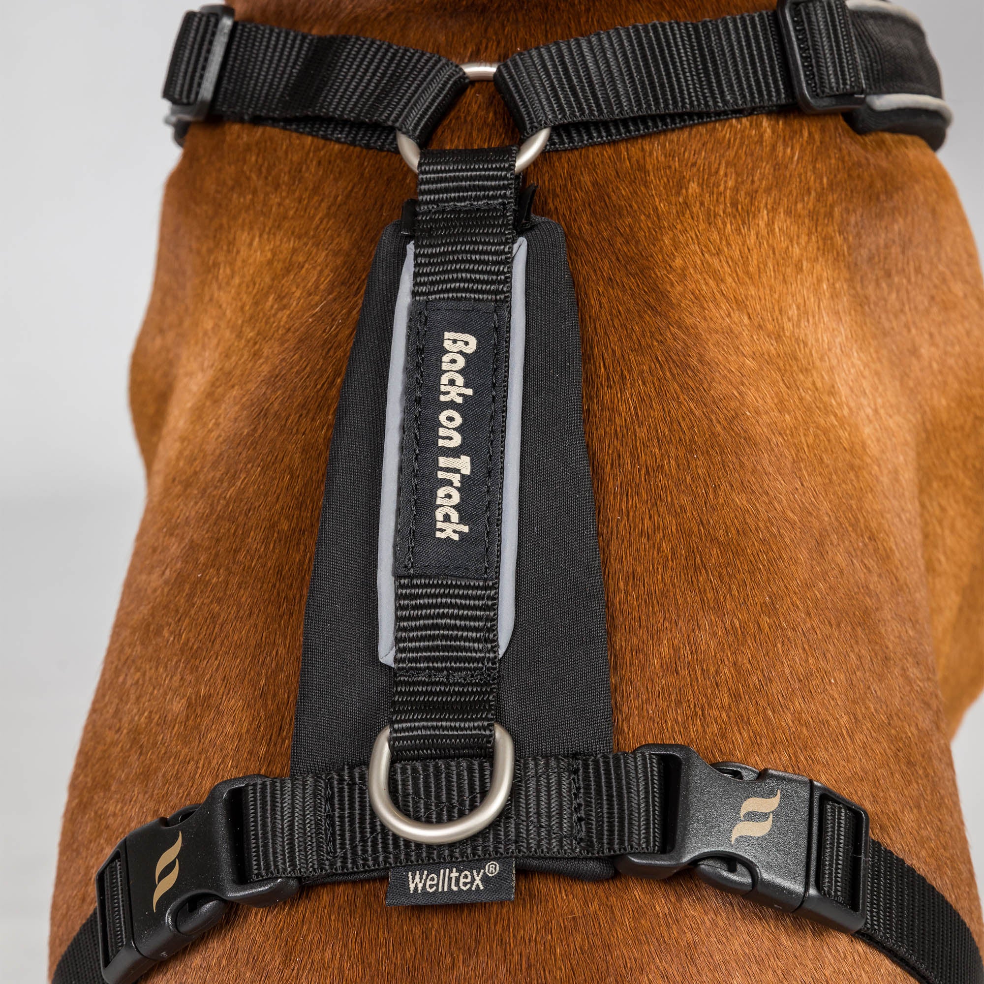 Back on Track Sally dog harness with ergonomic fit, breathable mesh, and infrared fabric for comfort and mobility