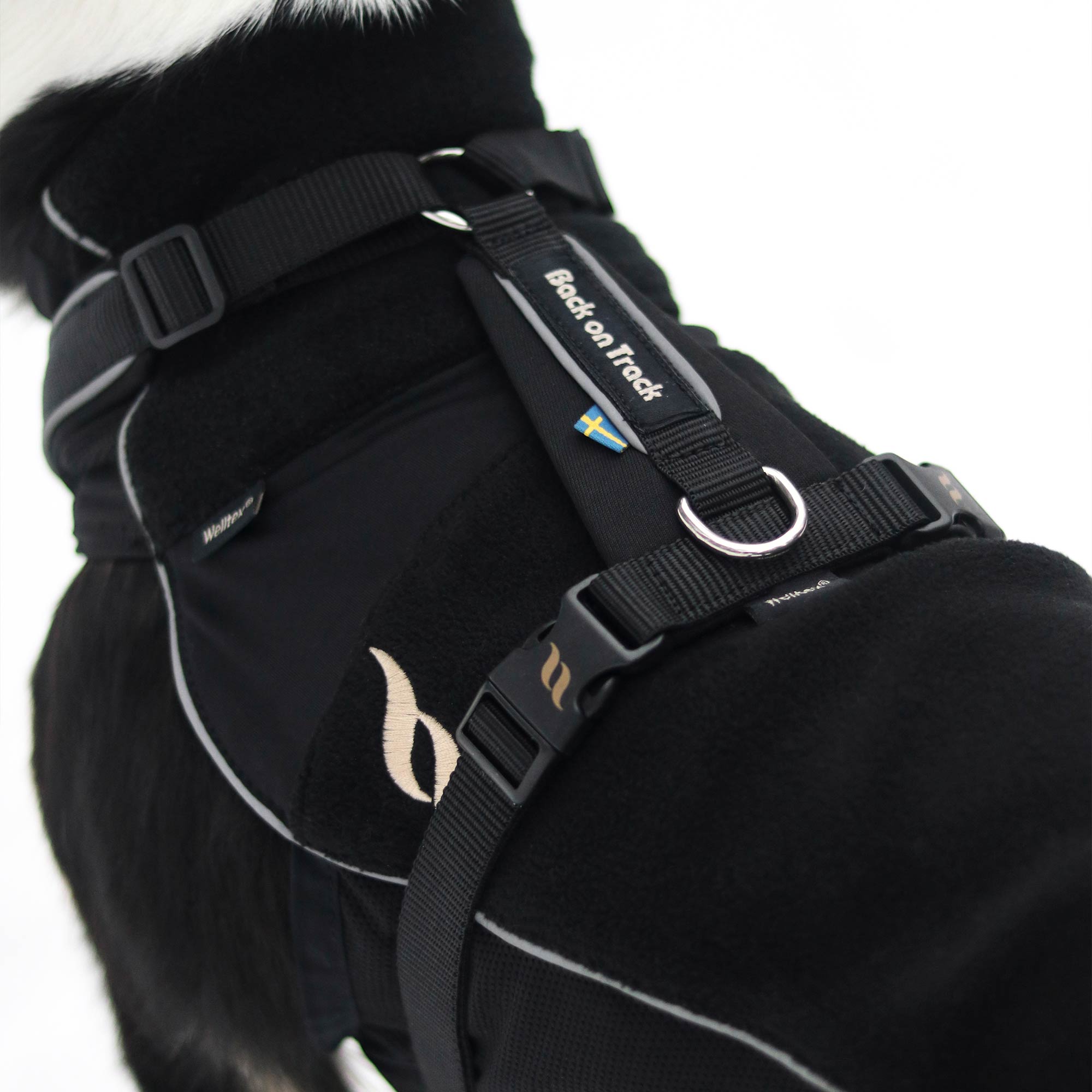 Back on Track Sally dog harness with ergonomic fit, breathable mesh, and infrared fabric for comfort and mobility