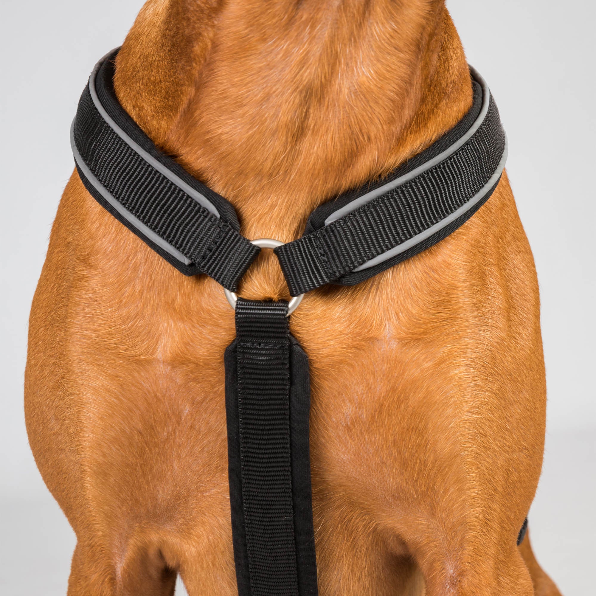 Back on Track Max dog harness with ergonomic fit, breathable mesh, and infrared fabric for comfort and mobility
