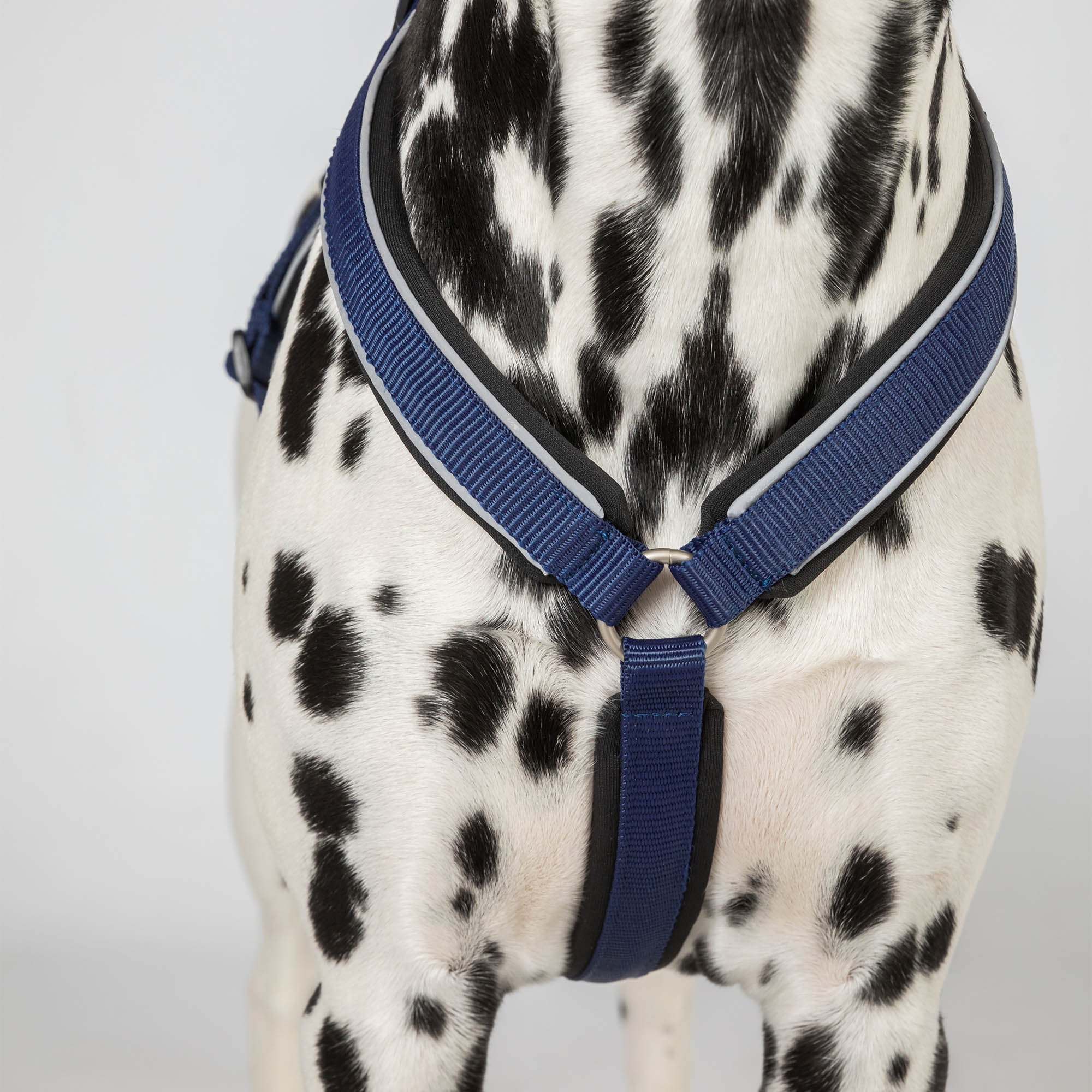 Back on Track Max dog harness with ergonomic fit, breathable mesh, and infrared fabric for comfort and mobility