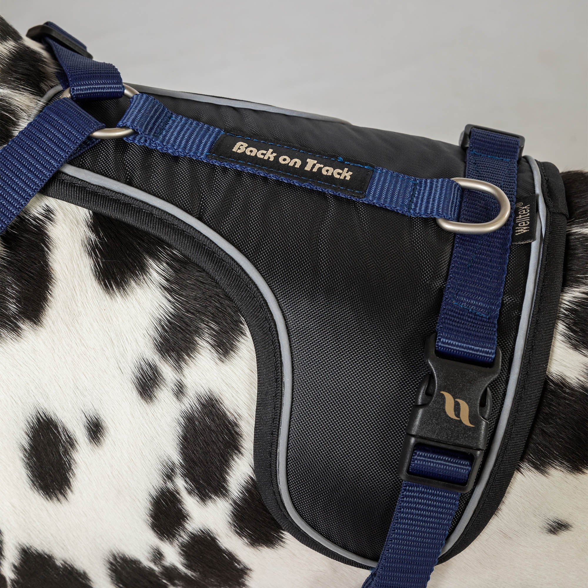 Back on Track Max dog harness with ergonomic fit, breathable mesh, and infrared fabric for comfort and mobility