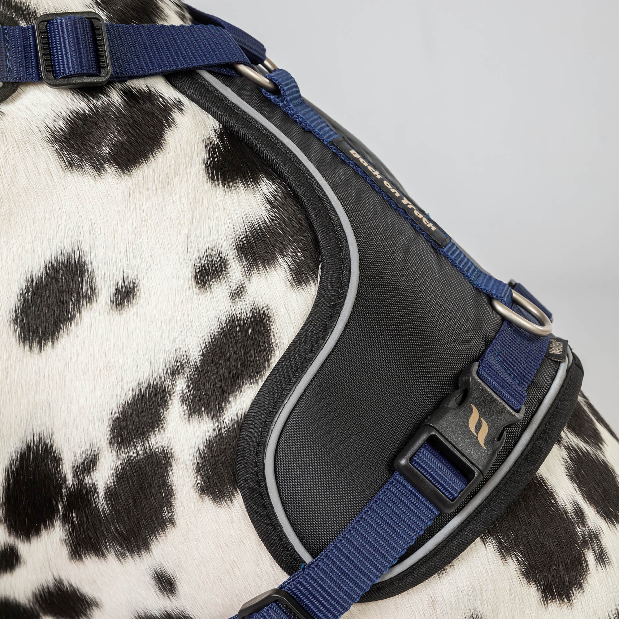 Back on Track Max dog harness with ergonomic fit, breathable mesh, and infrared fabric for comfort and mobility