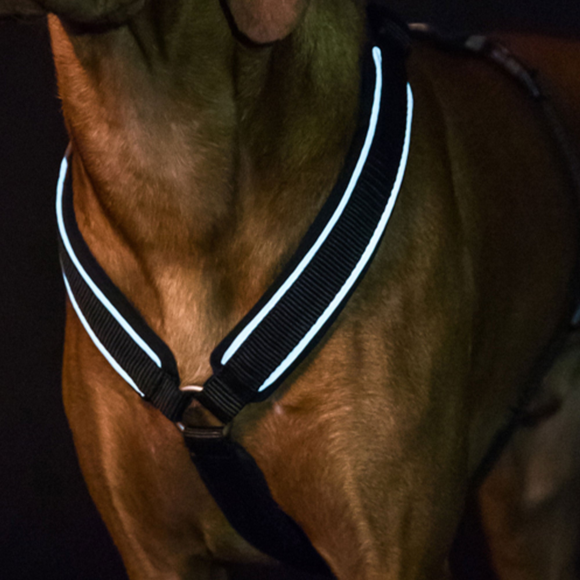 Back on Track Max dog harness with ergonomic fit, breathable mesh, and infrared fabric for comfort and mobility