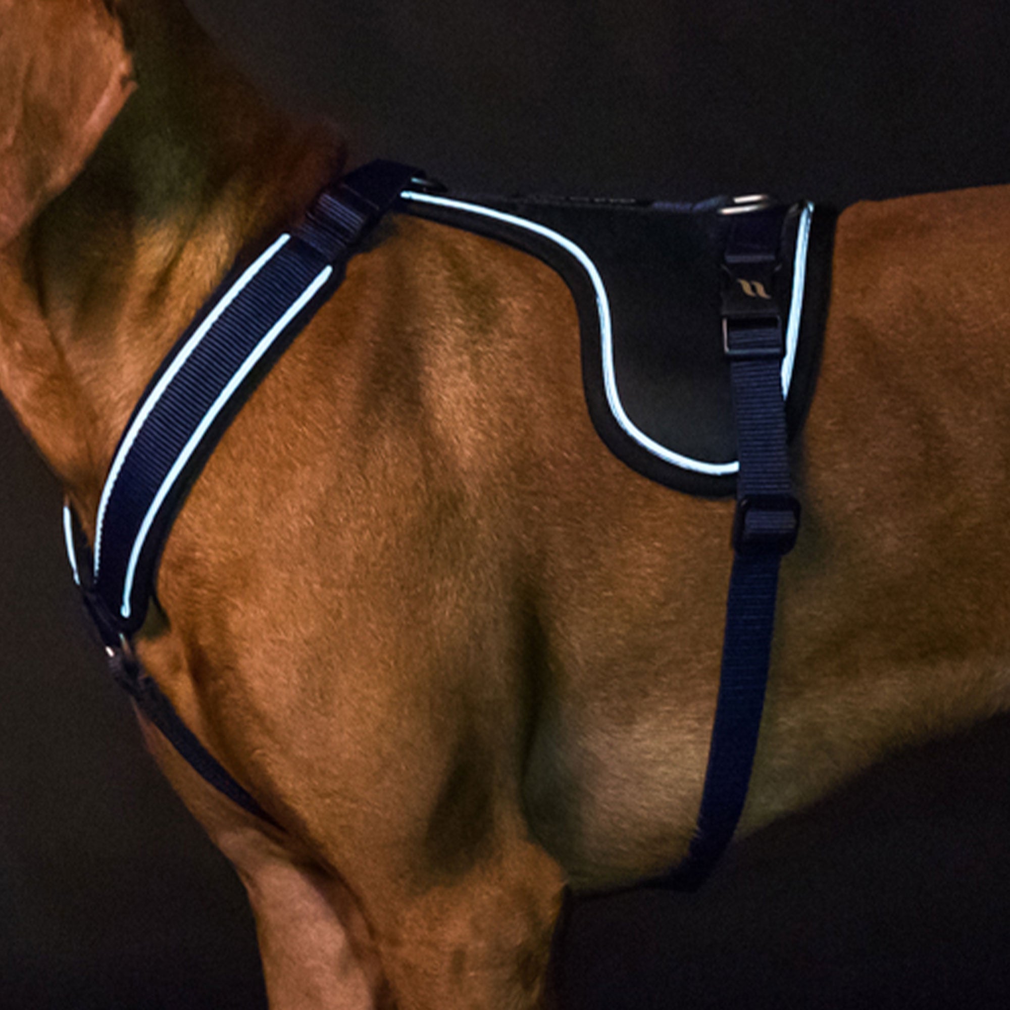 Back on Track Max dog harness with ergonomic fit, breathable mesh, and infrared fabric for comfort and mobility