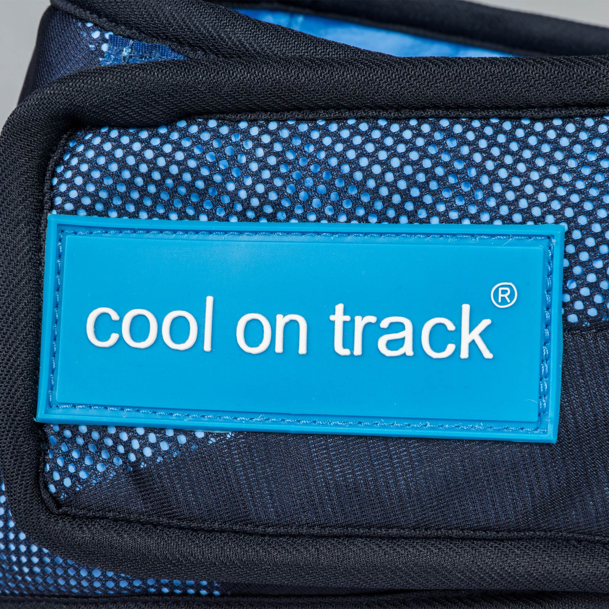 Back on Track Cool on Track Bandana, versatile cooling relief for dogs and people, lightweight and breathable design