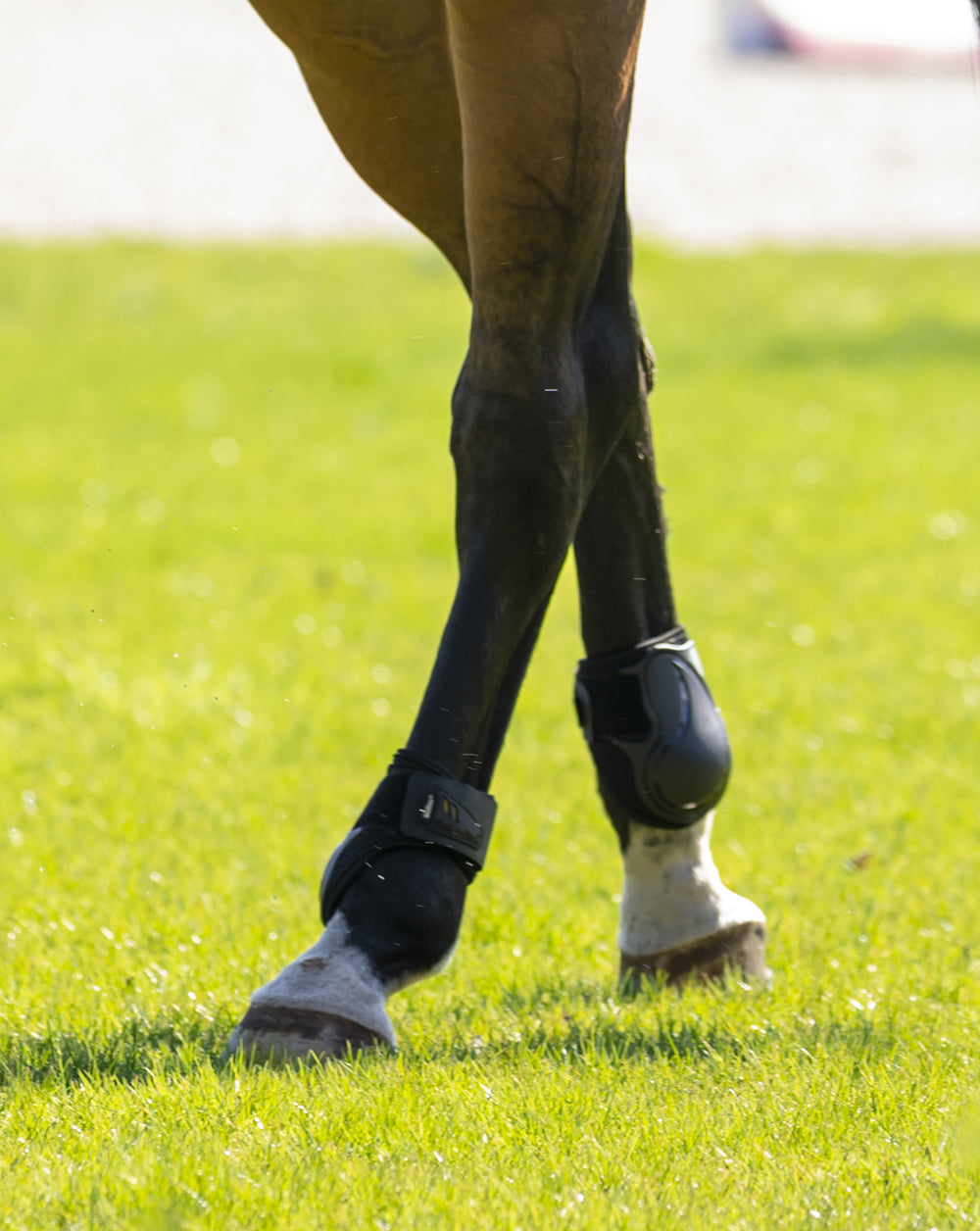 Airflow Fetlock Boots with breathable mesh, Welltex® lining, and secure fit for support, comfort, and protection