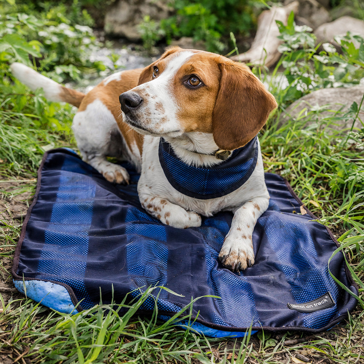 Back on Track Cool on Track Towel, versatile cooling towel for people, pets, and horses, ideal for heat relief and comfort