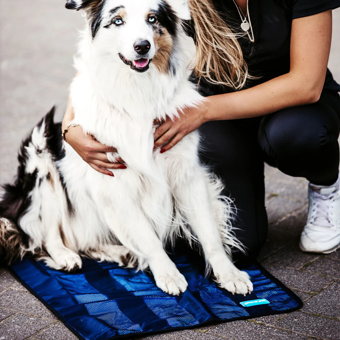 Back on Track Cool on Track Towel, versatile cooling towel for people, pets, and horses, ideal for heat relief and comfort