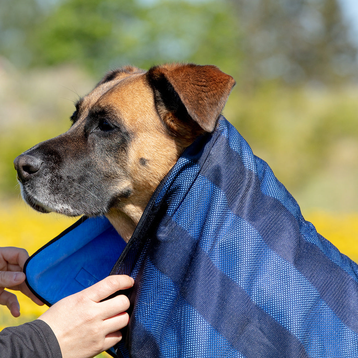 Back on Track Cool on Track Towel, versatile cooling towel for people, pets, and horses, ideal for heat relief and comfort
