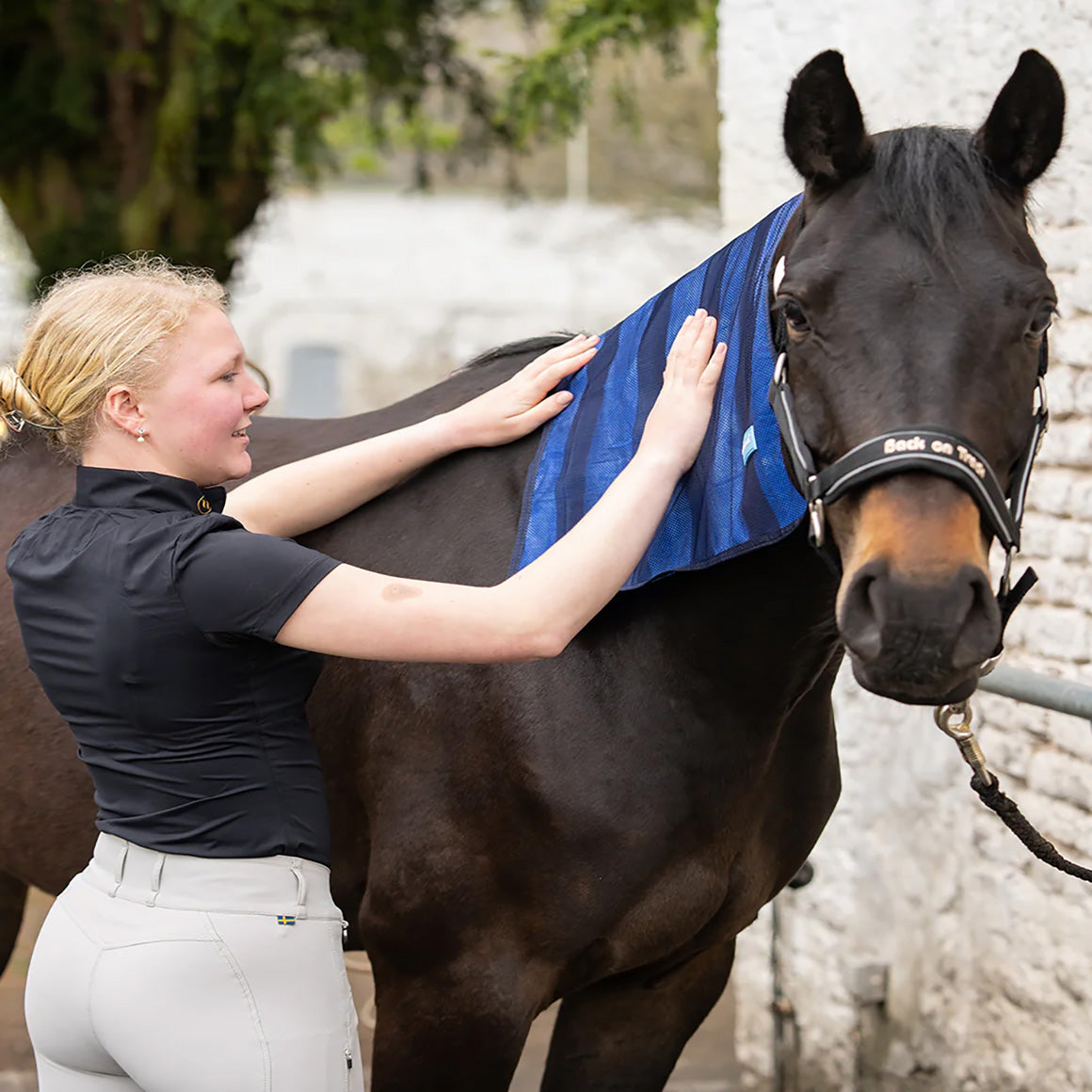 Back on Track Cool on Track Towel, versatile cooling towel for people, pets, and horses, ideal for heat relief and comfort