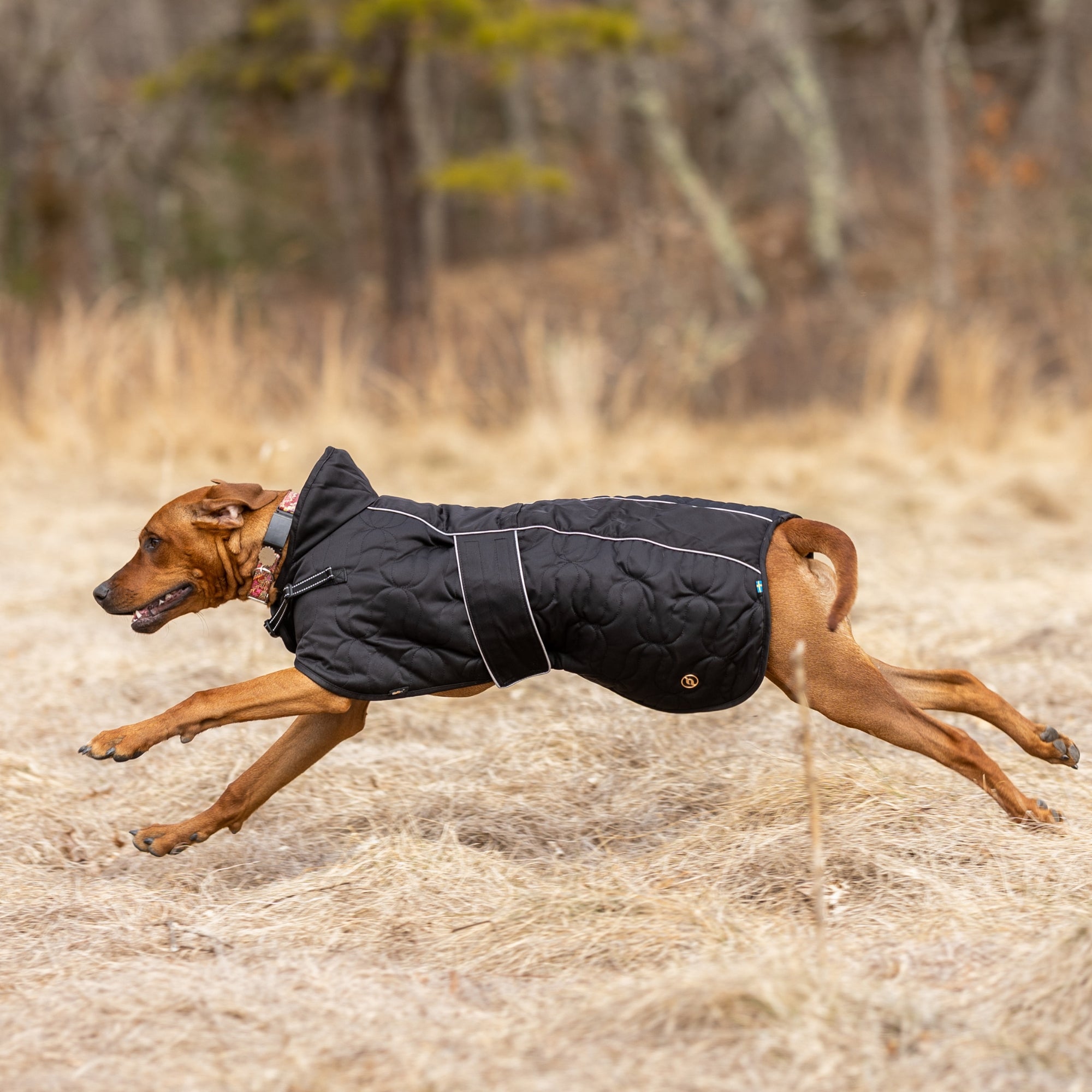 Back on Track Deep Nights dog coat with thermal fleece lining, water-resistant shell, and infrared fabric for warmth