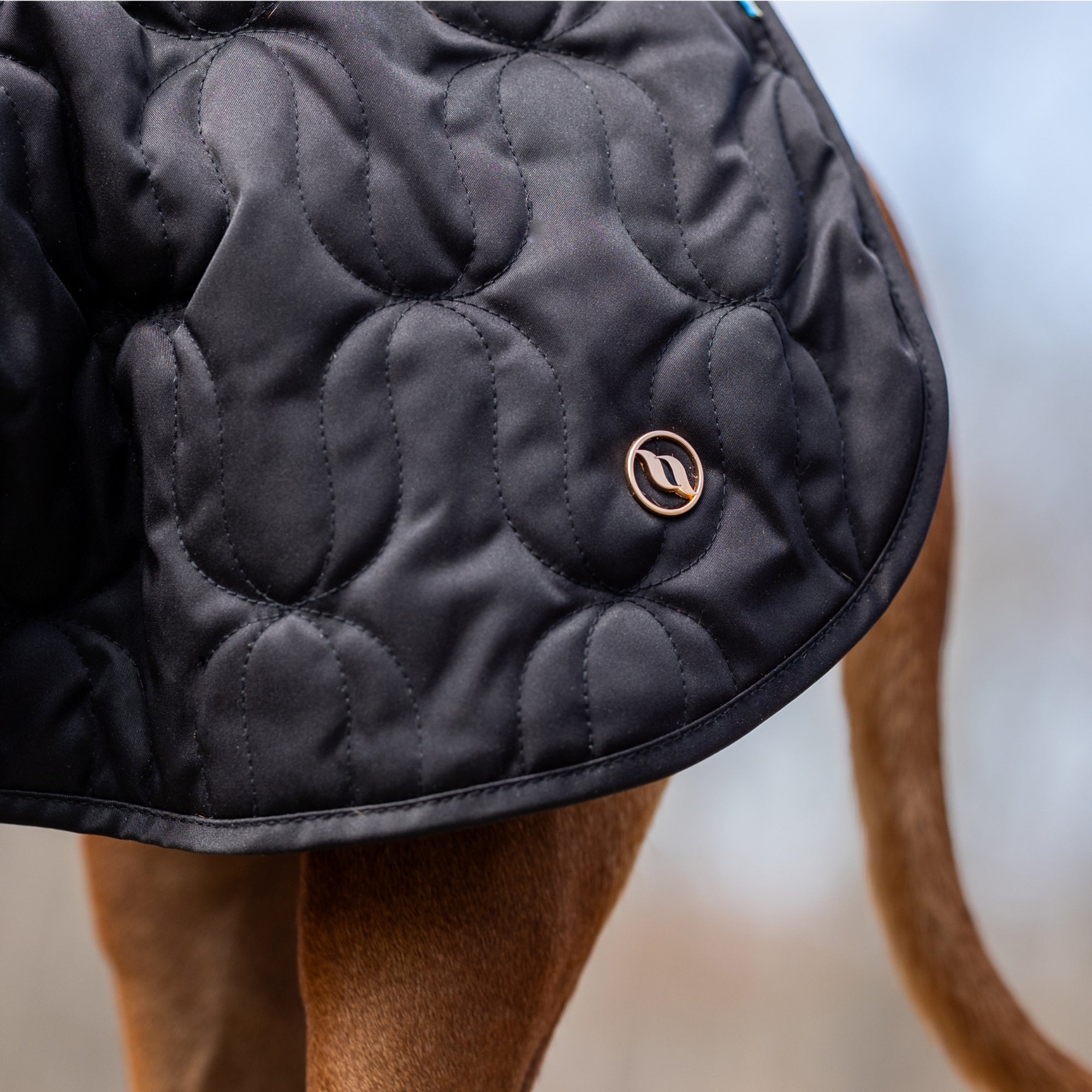 Back on Track Deep Nights dog coat with thermal fleece lining, water-resistant shell, and infrared fabric for warmth