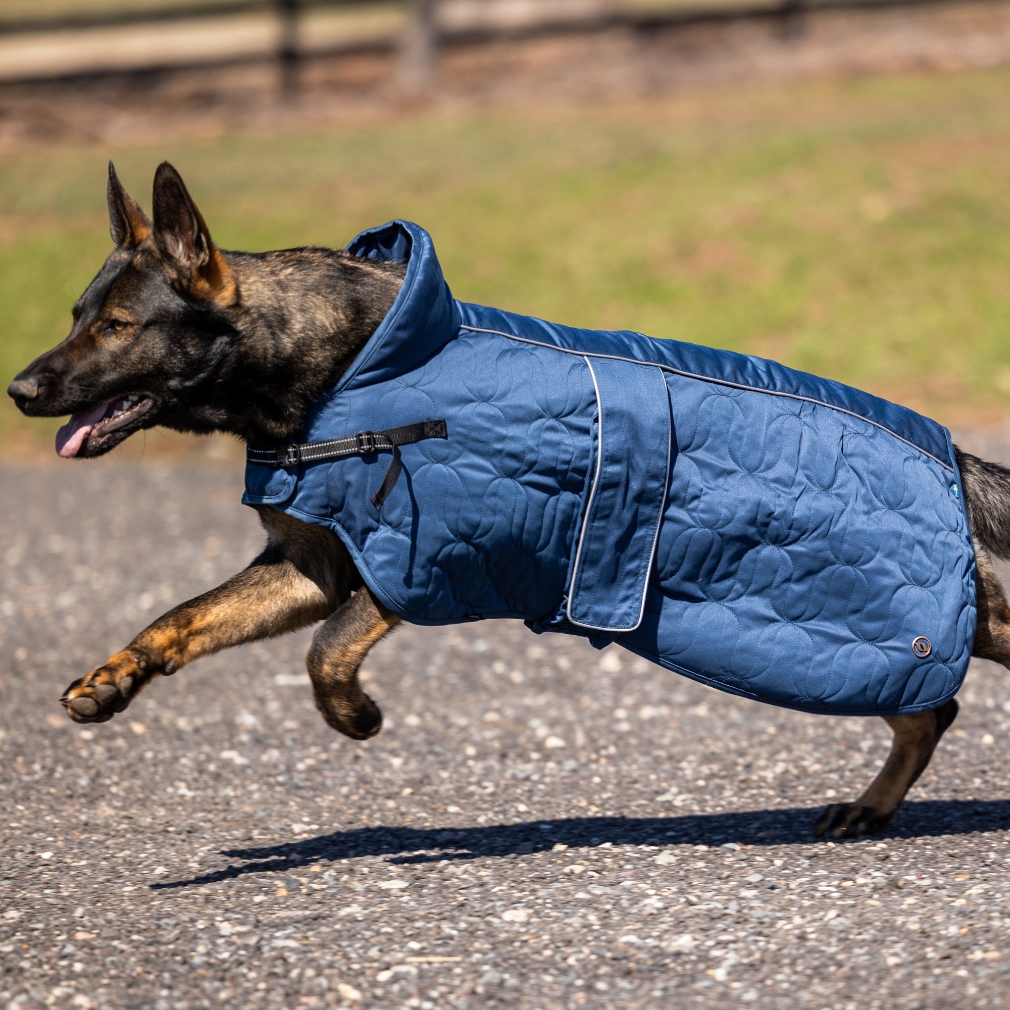 Back on Track Deep Nights dog coat with thermal fleece lining, water-resistant shell, and infrared fabric for warmth