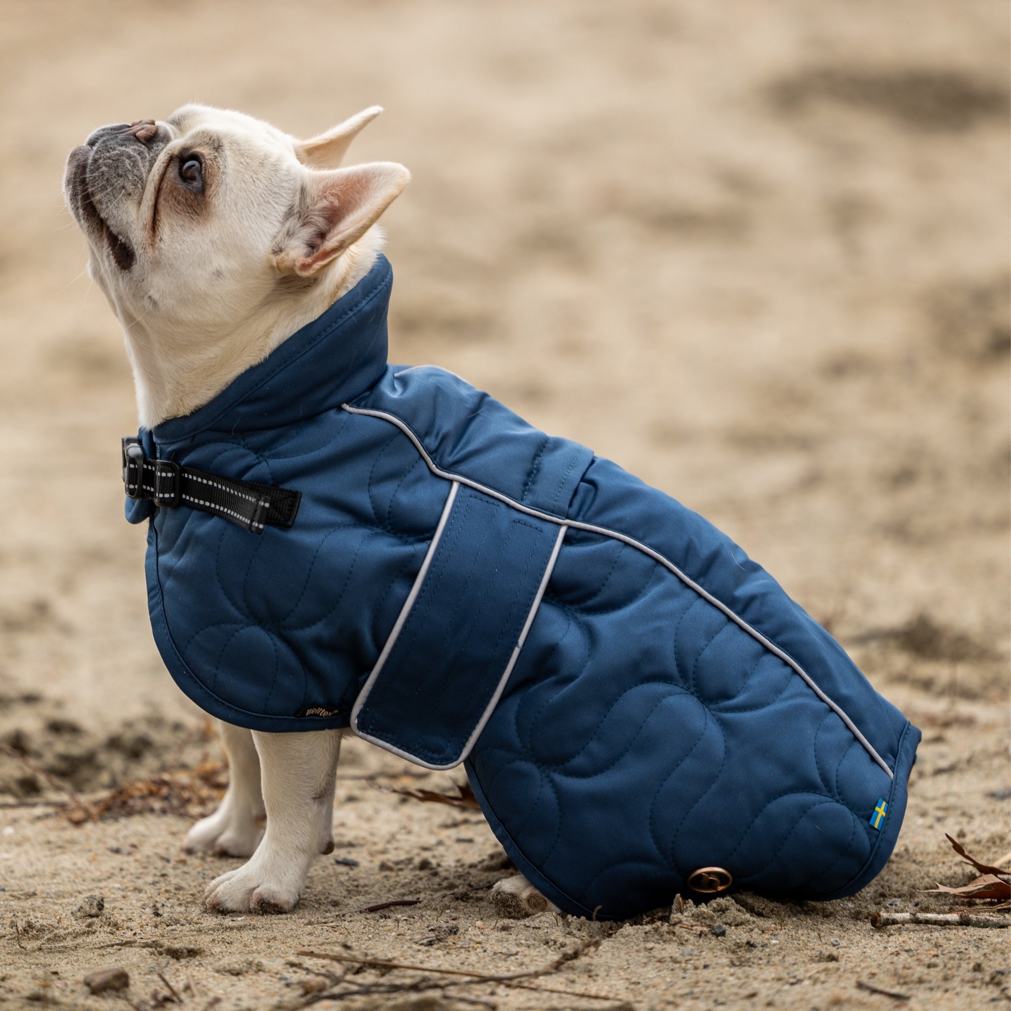 Back on Track Deep Nights dog coat with thermal fleece lining, water-resistant shell, and infrared fabric for warmth