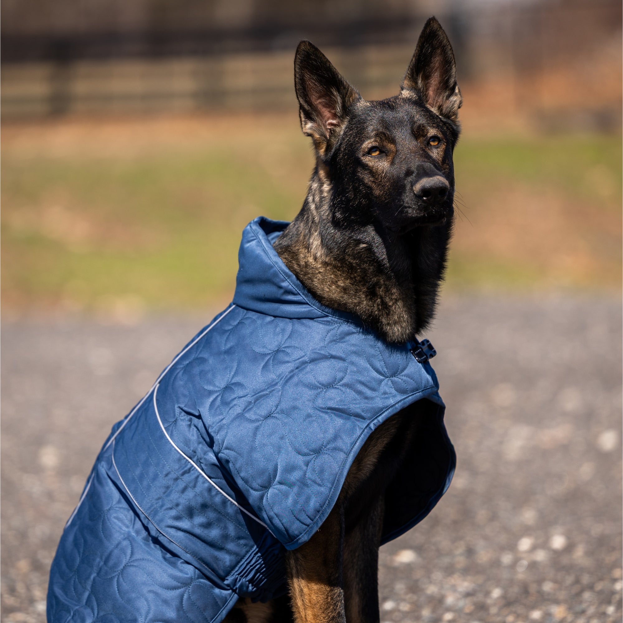 Back on Track Deep Nights dog coat with thermal fleece lining, water-resistant shell, and infrared fabric for warmth