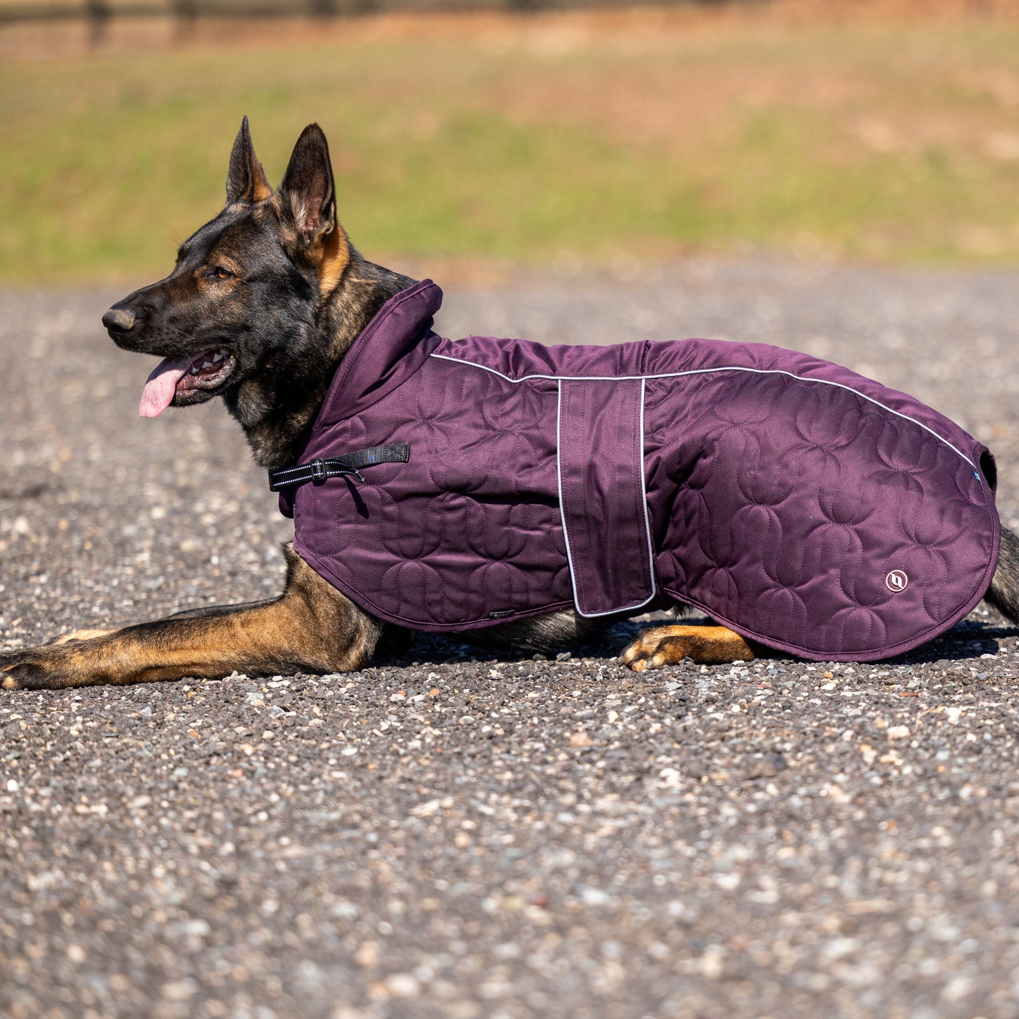 Back on Track Deep Nights dog coat with thermal fleece lining, water-resistant shell, and infrared fabric for warmth