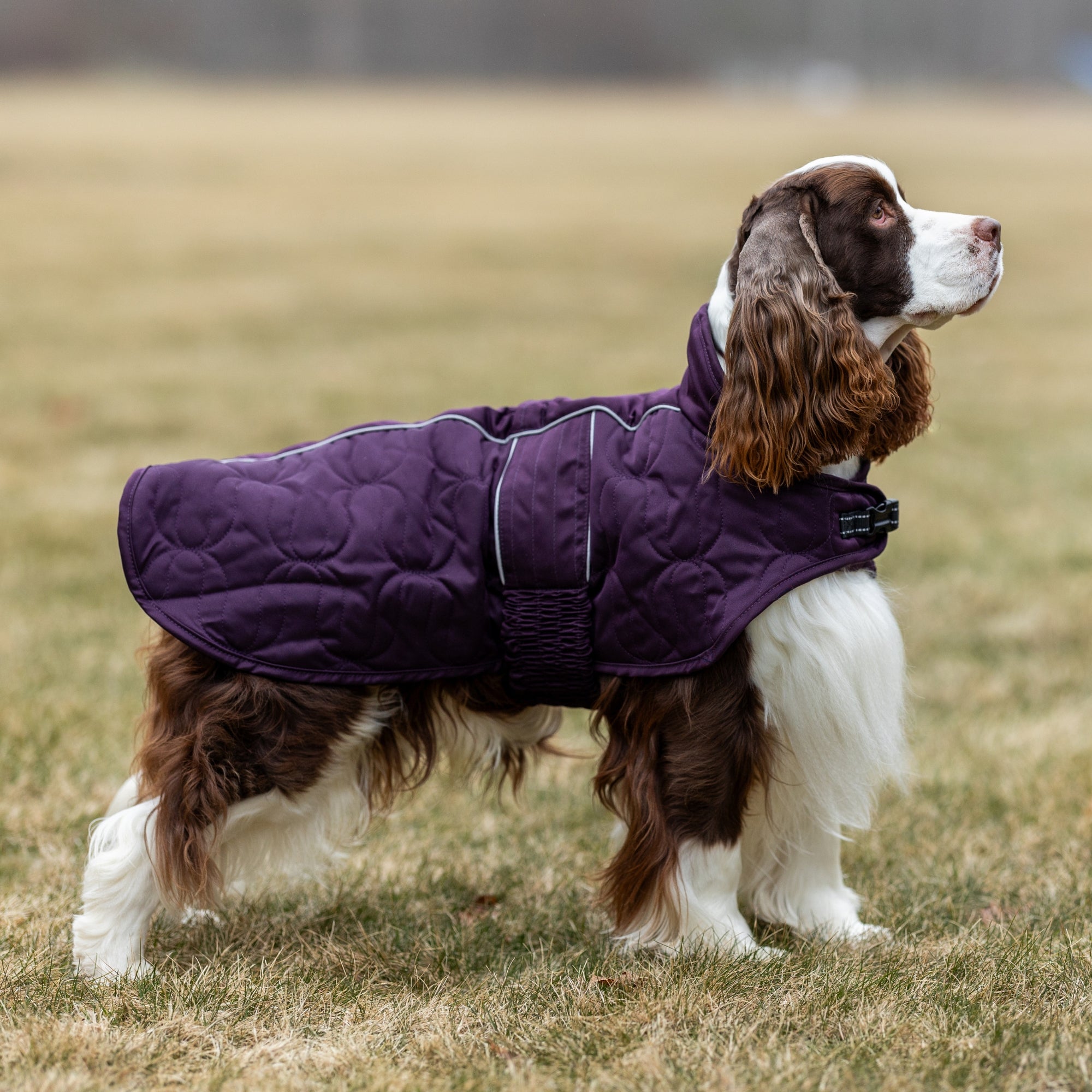 Back on Track Deep Nights dog coat with thermal fleece lining, water-resistant shell, and infrared fabric for warmth