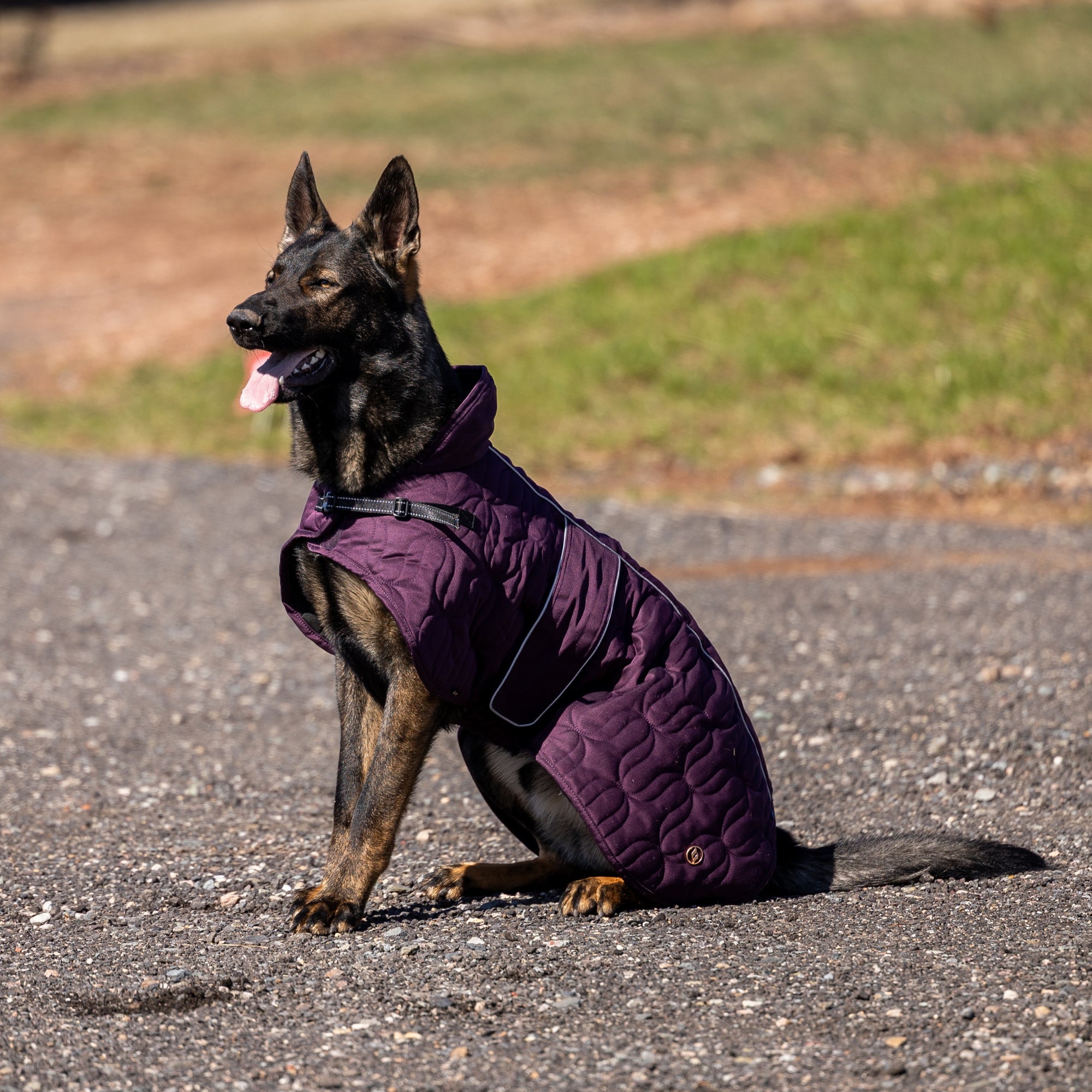 Back on Track Deep Nights dog coat with thermal fleece lining, water-resistant shell, and infrared fabric for warmth