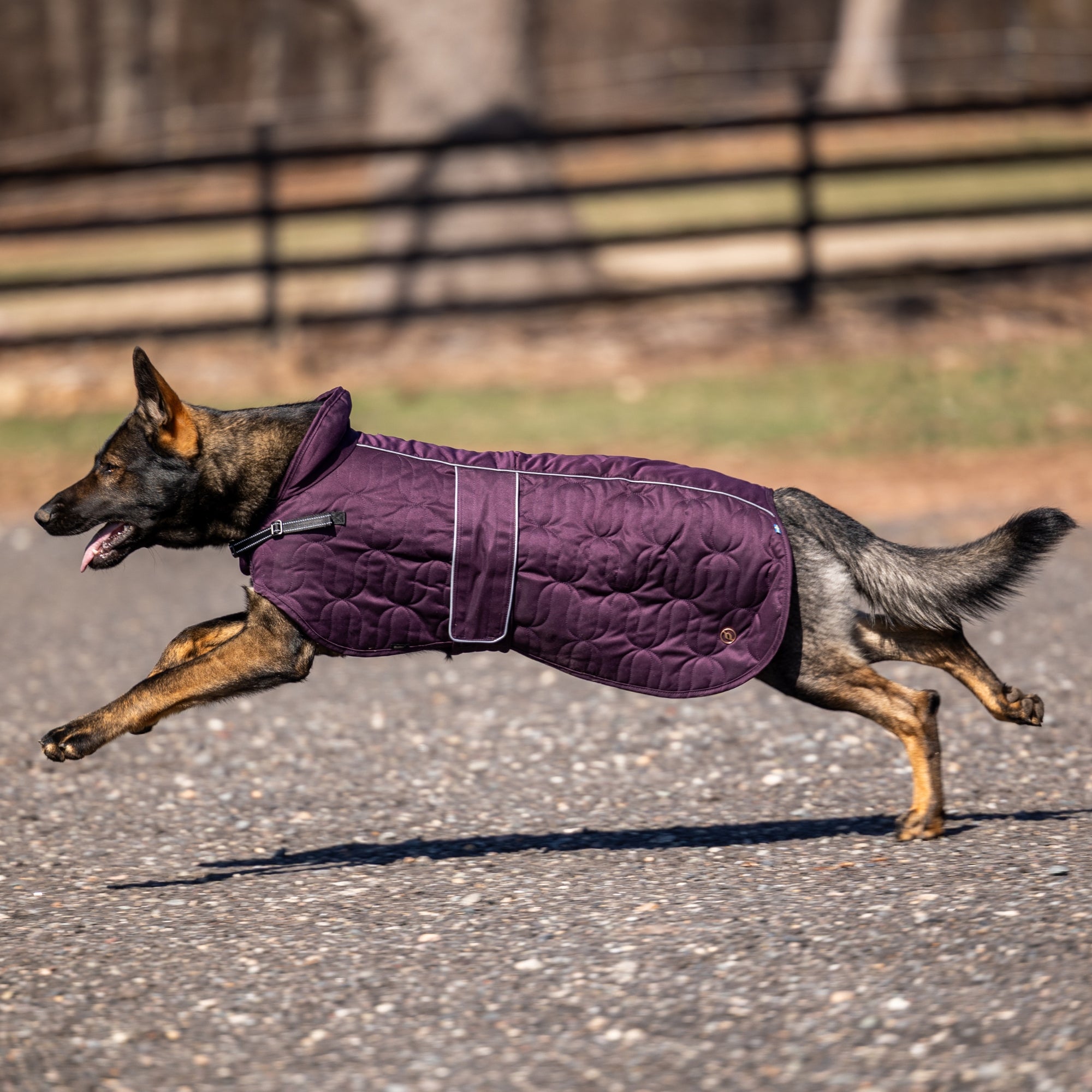 Back on Track Deep Nights dog coat with thermal fleece lining, water-resistant shell, and infrared fabric for warmth