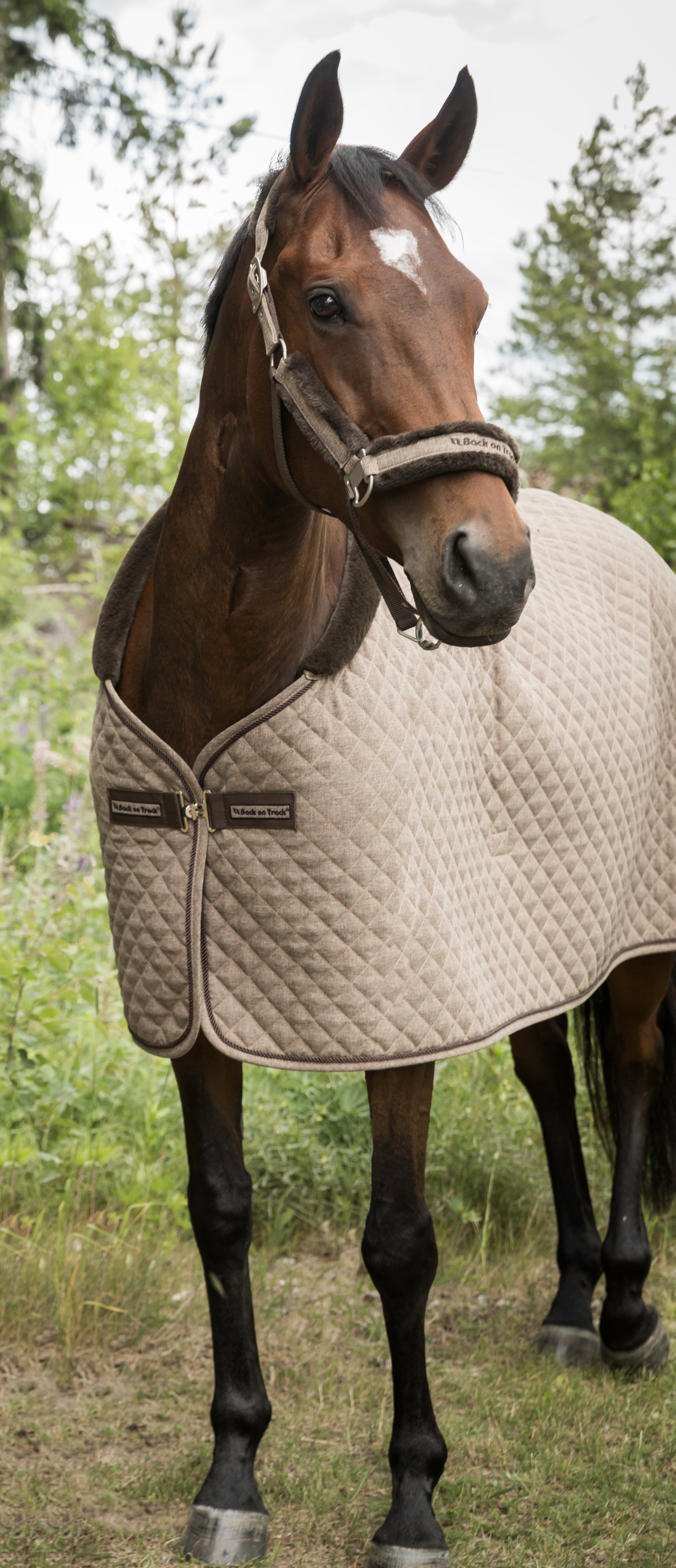 Haze Horse Show Quilt Cooler with quilted fabric, fleece trim, and Welltex® tech for comfort, warmth, and recovery