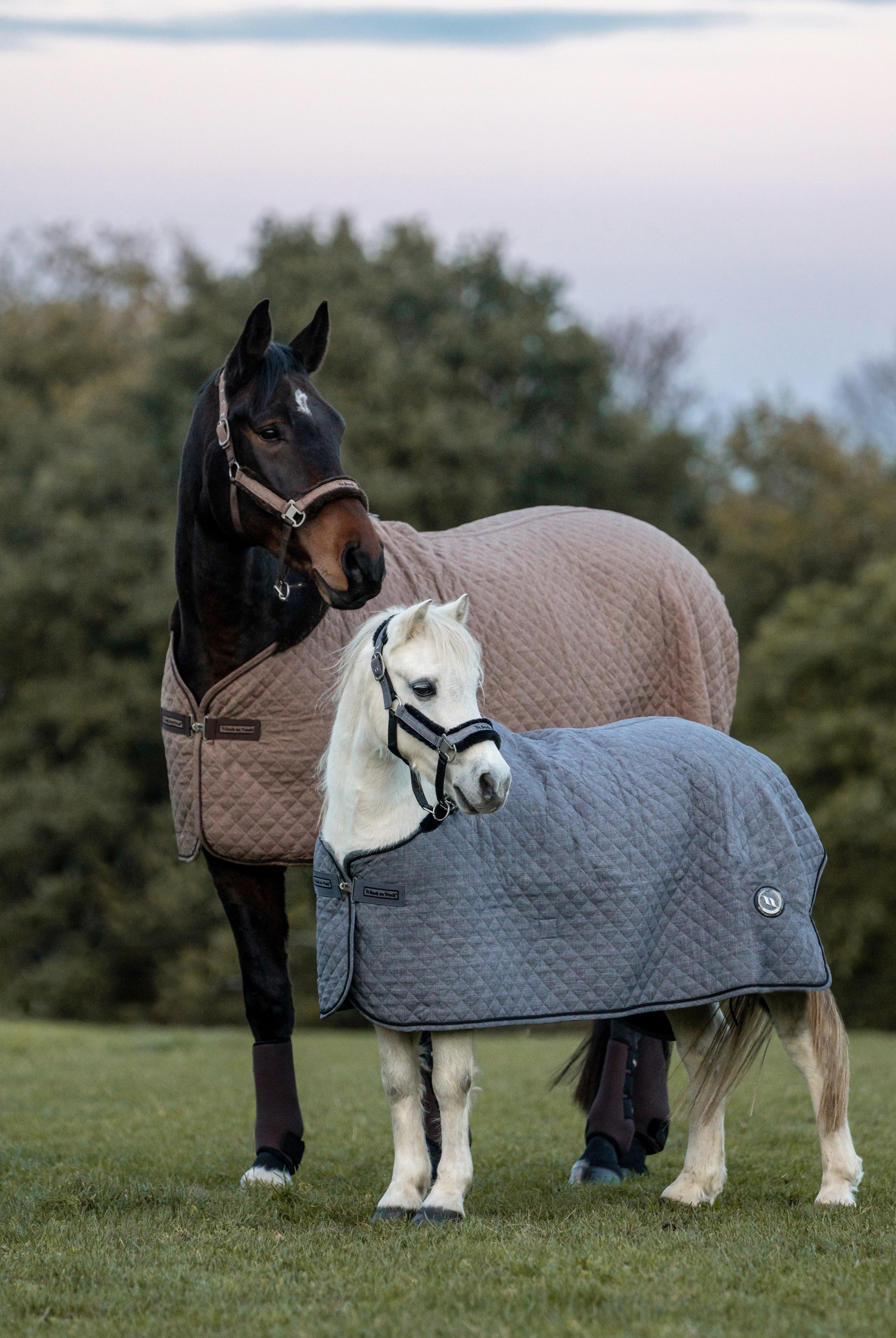 Haze Horse Show Quilt Cooler with quilted fabric, fleece trim, and Welltex® tech for comfort, warmth, and recovery