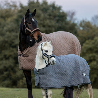 Haze Horse Show Quilt Cooler with quilted fabric, fleece trim, and Welltex® tech for comfort, warmth, and recovery