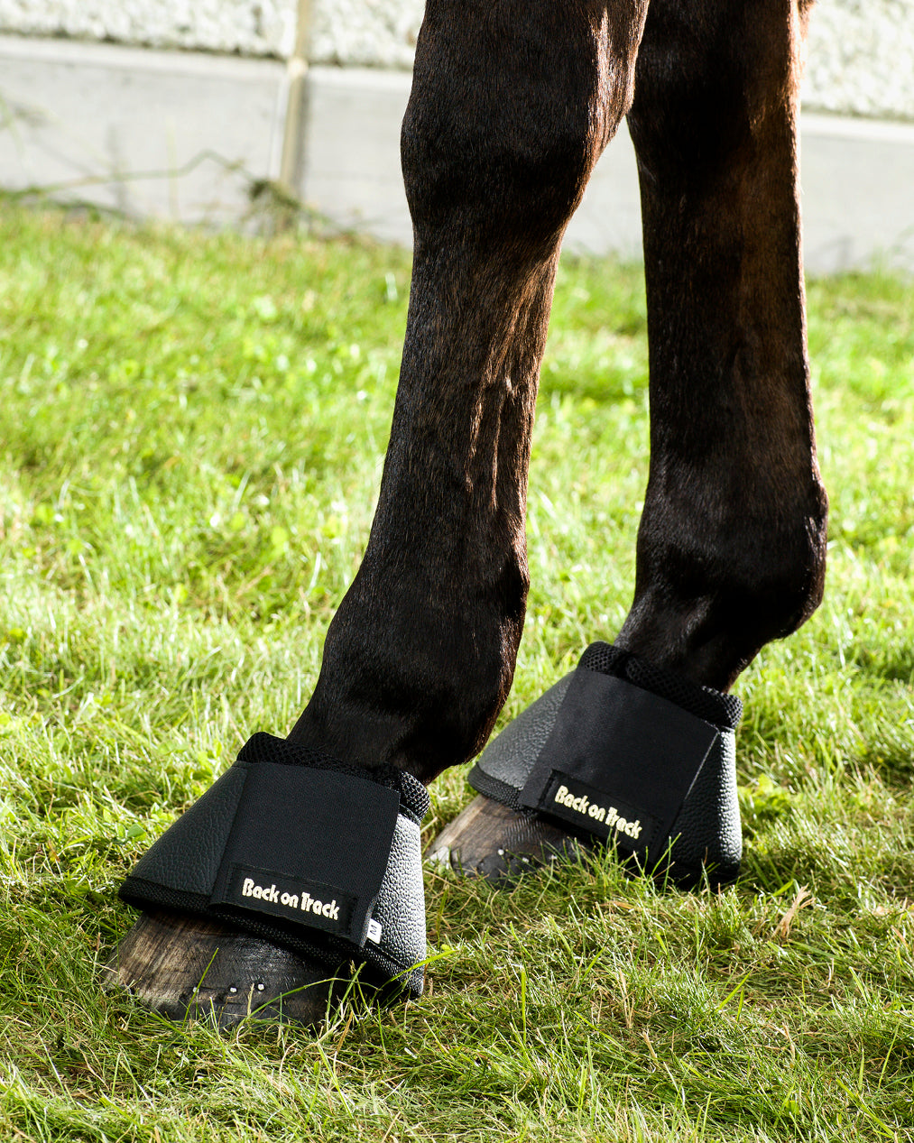 Back on Track classic bell boots for horses, protect hooves and support comfort during movement