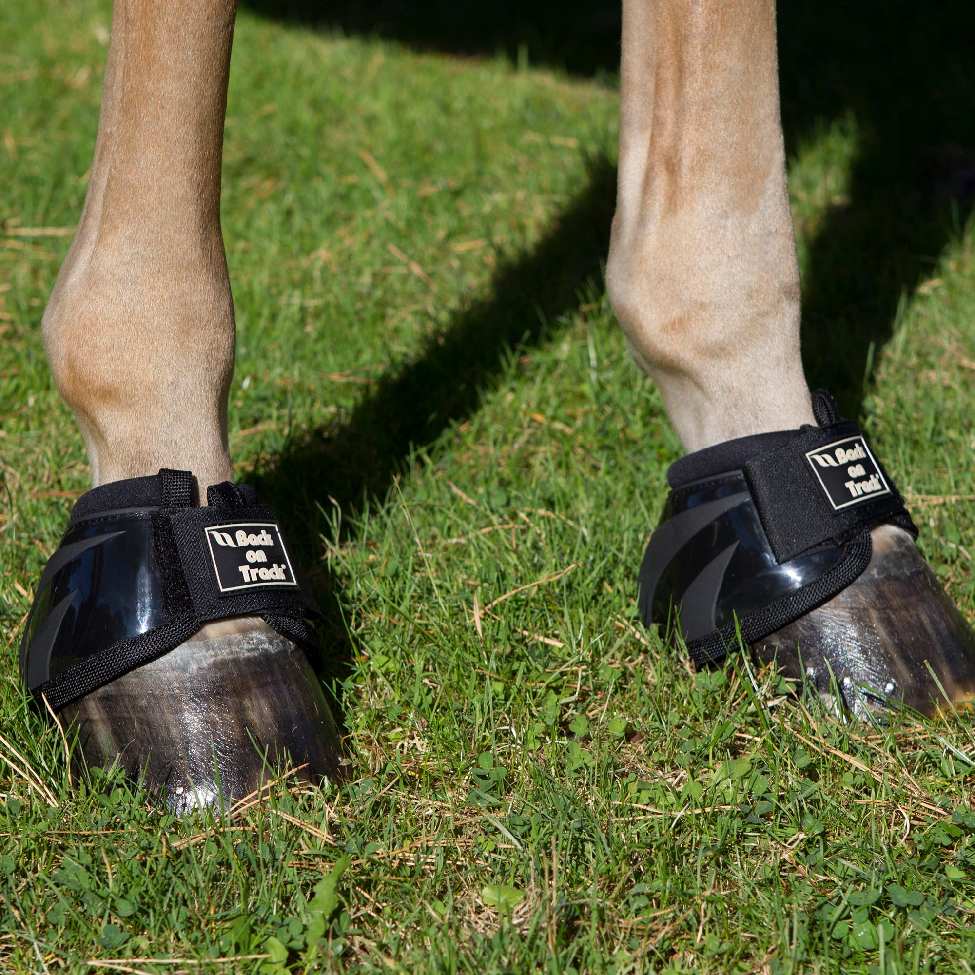 Back on Track Performance Bell Boots – durable, shock-absorbing hoof protection for training and turnout