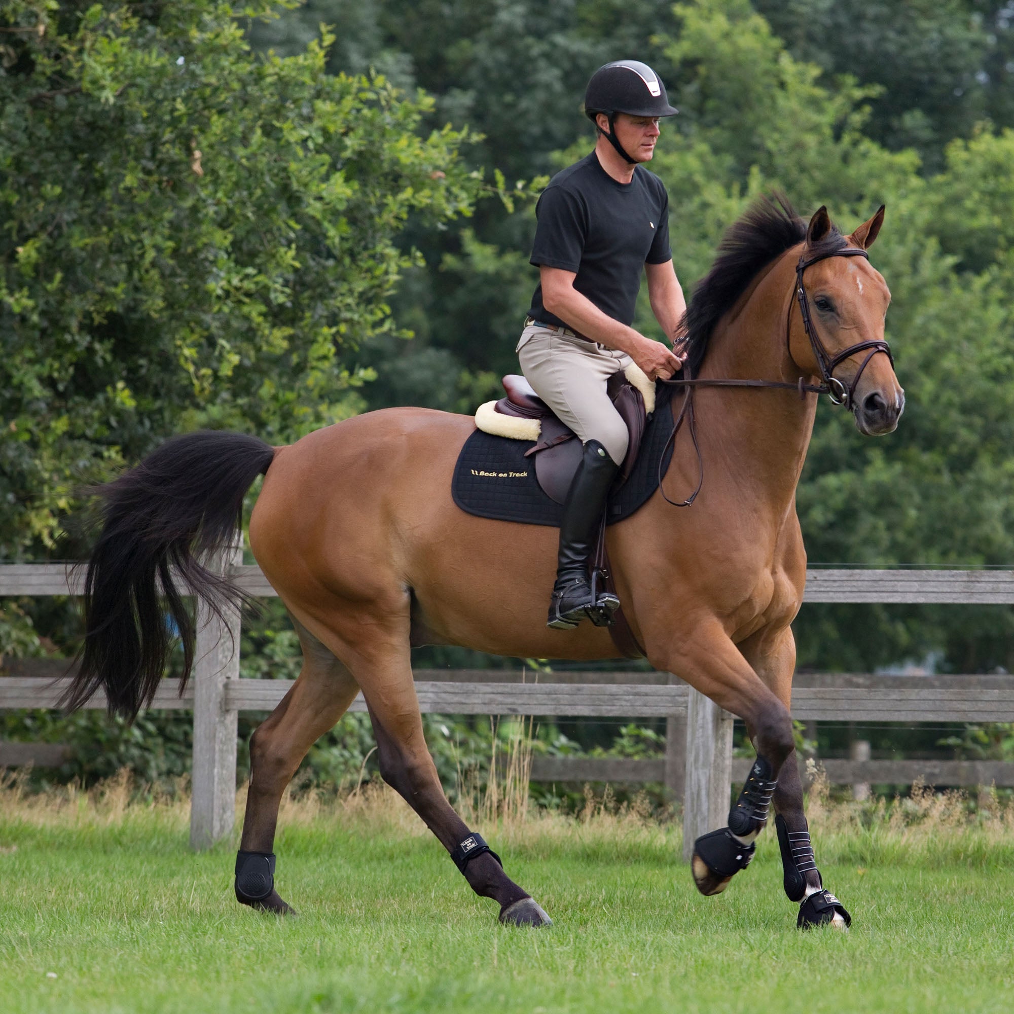 Back on Track Horse Royal Work Boots – durable leather boots for tough jobs and all-day comfort