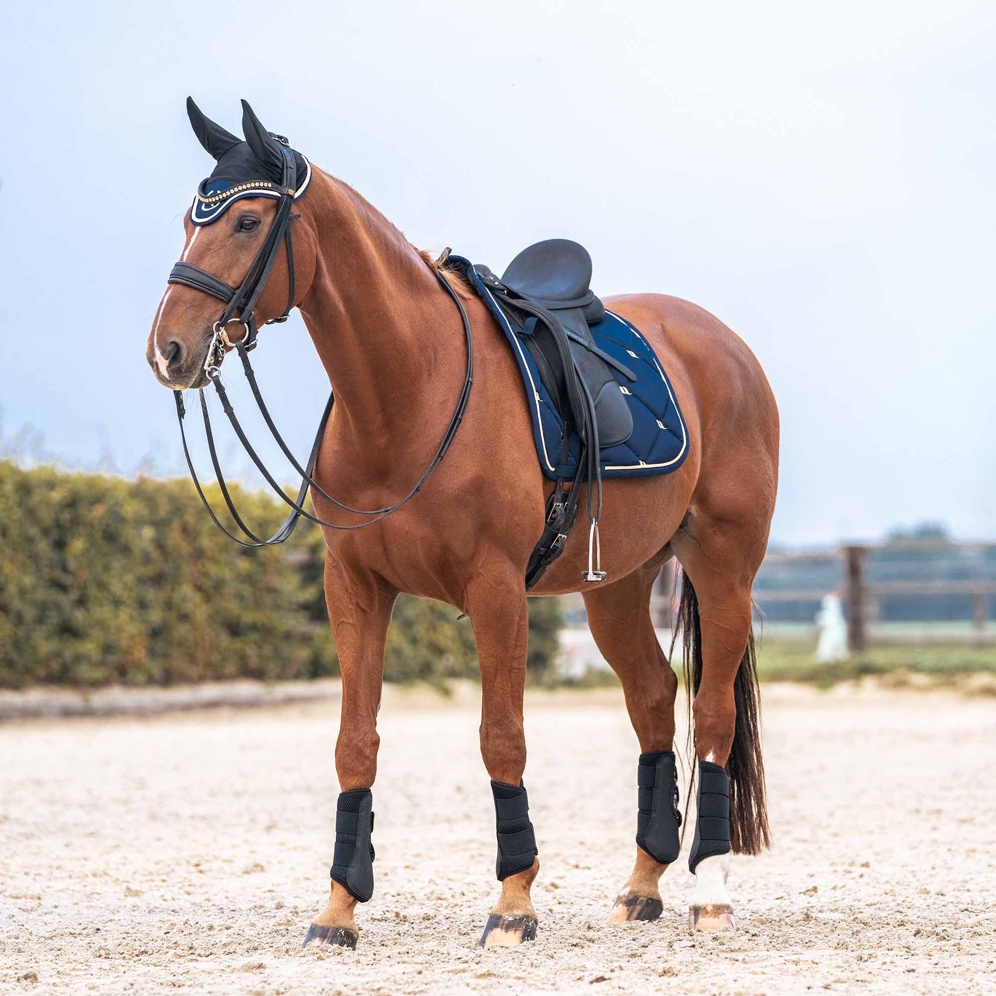Back on Track 3D Mesh Splint Boots – breathable, protective, and supportive boots for horse leg comfort and recovery
