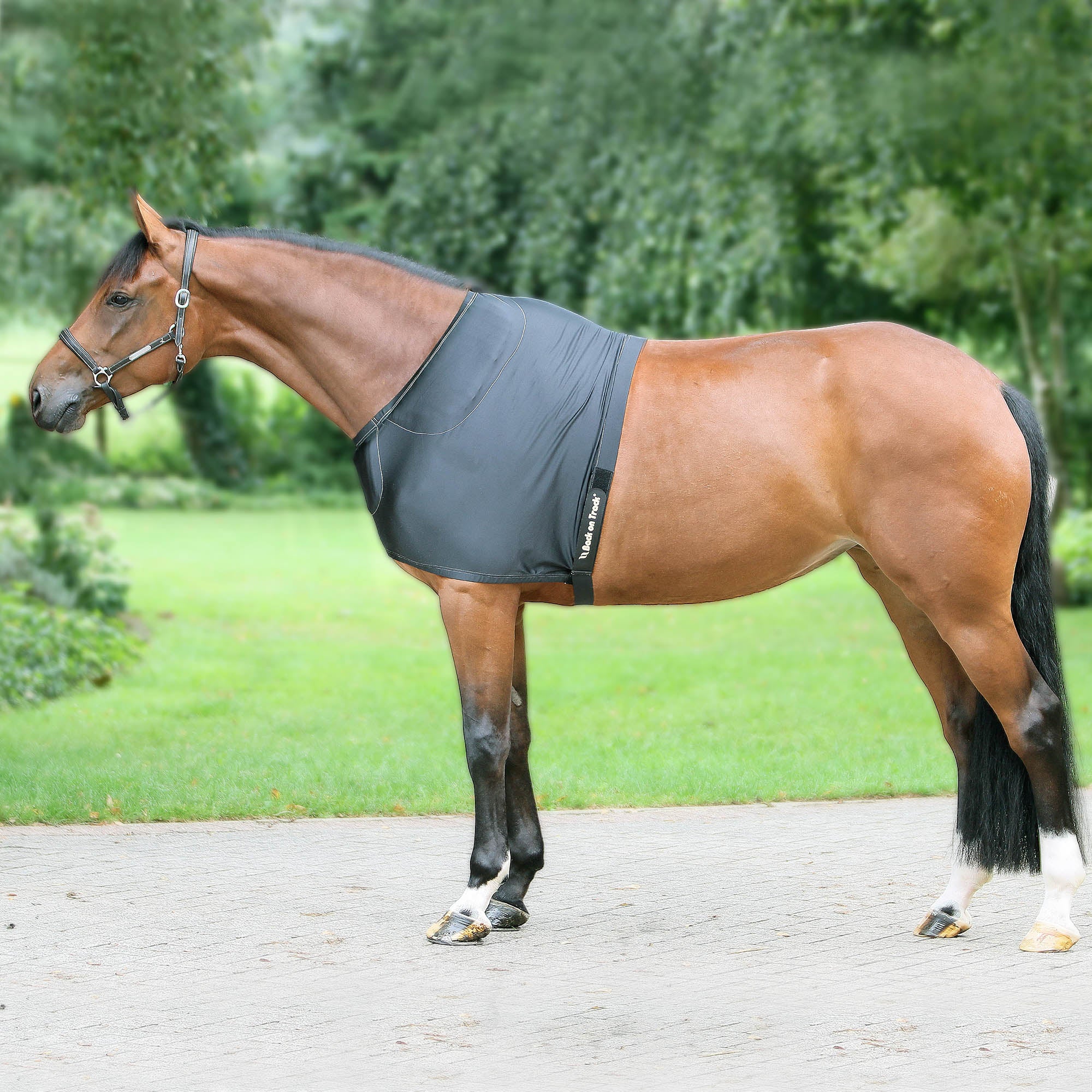 Back on Track padded shoulder guard for horses, supports comfort and mobility