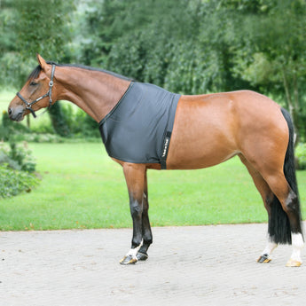 Back on Track padded shoulder guard for horses, supports comfort and mobility