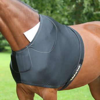 Back on Track padded shoulder guard for horses, supports comfort and mobility