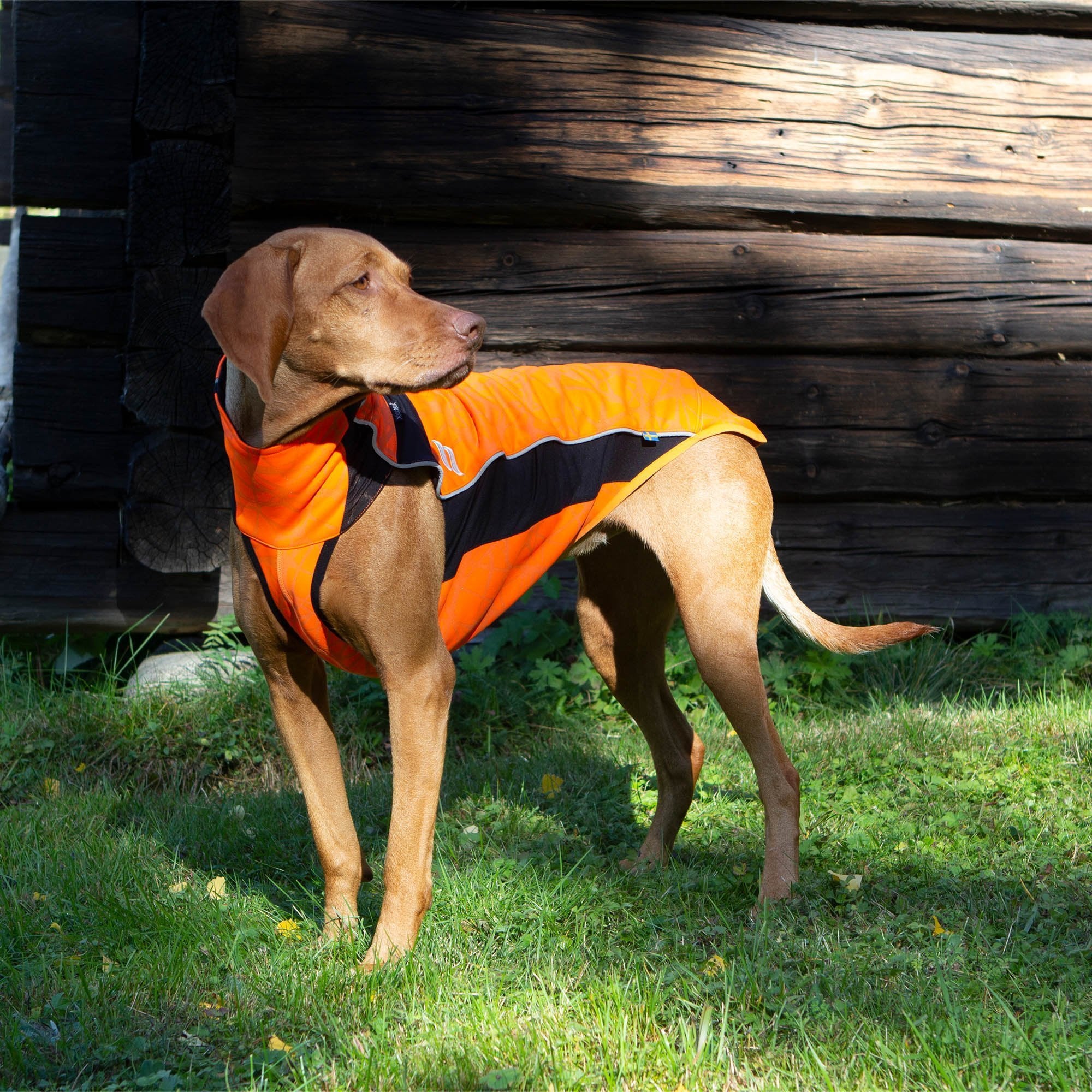 Eddie Reflective Dog Jumper in bright orange with high-visibility strips and Welltex® for safety and comfort