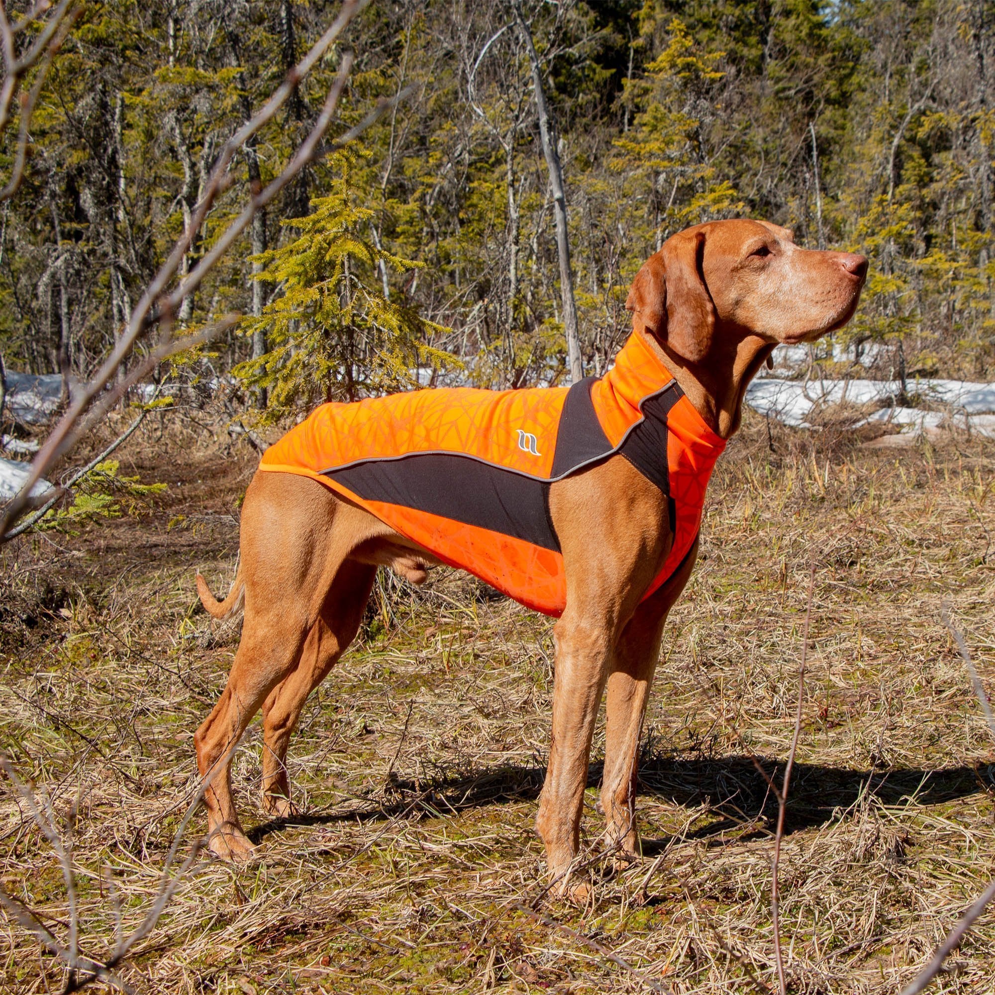 Eddie Reflective Dog Jumper in bright orange with high-visibility strips and Welltex® for safety and comfort