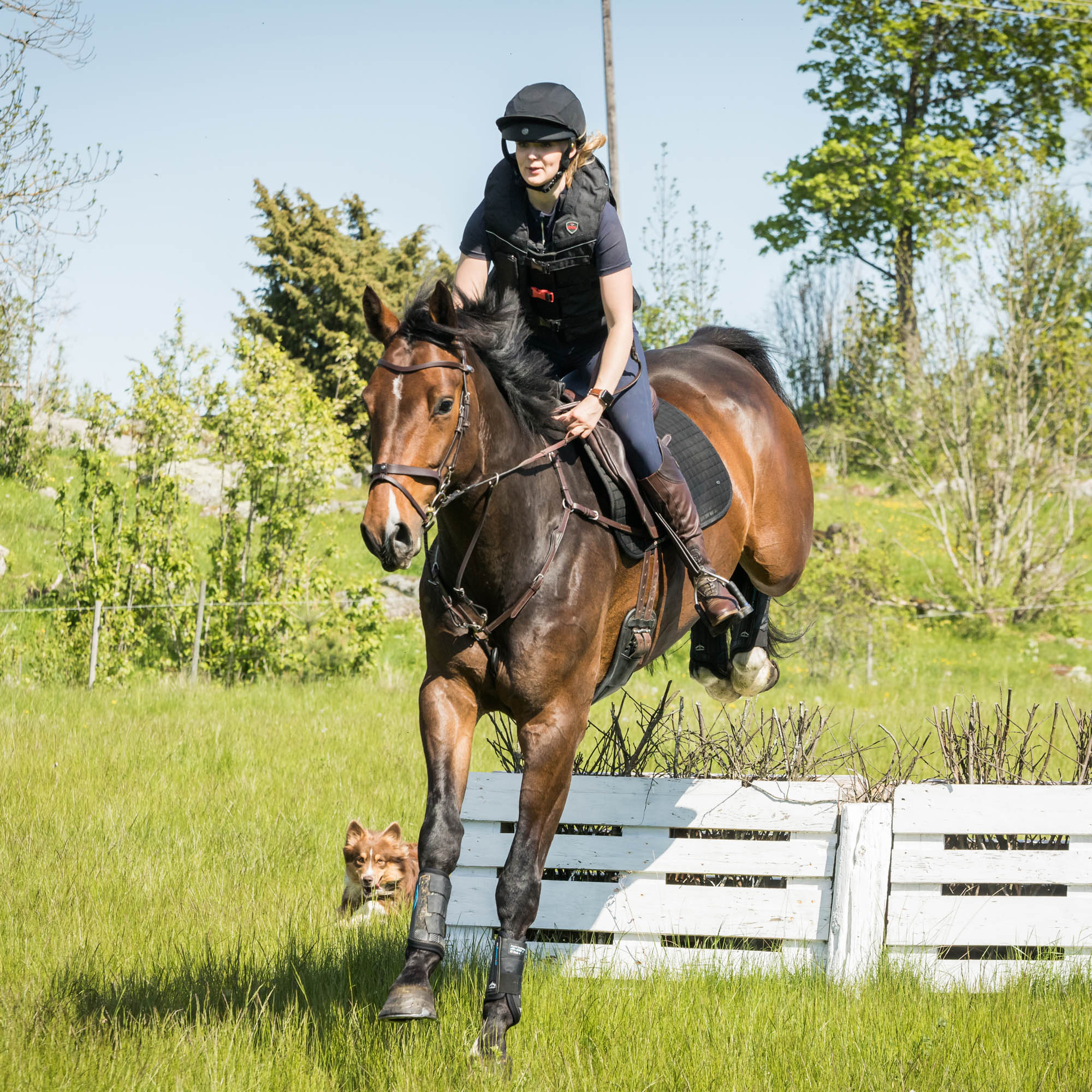 Lynx Eventing Helmet with MIPS, dual ventilation, and Coolmax® liner for safety, comfort, and moisture control