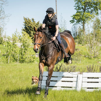 Lynx Eventing Helmet with MIPS, dual ventilation, and Coolmax® liner for safety, comfort, and moisture control