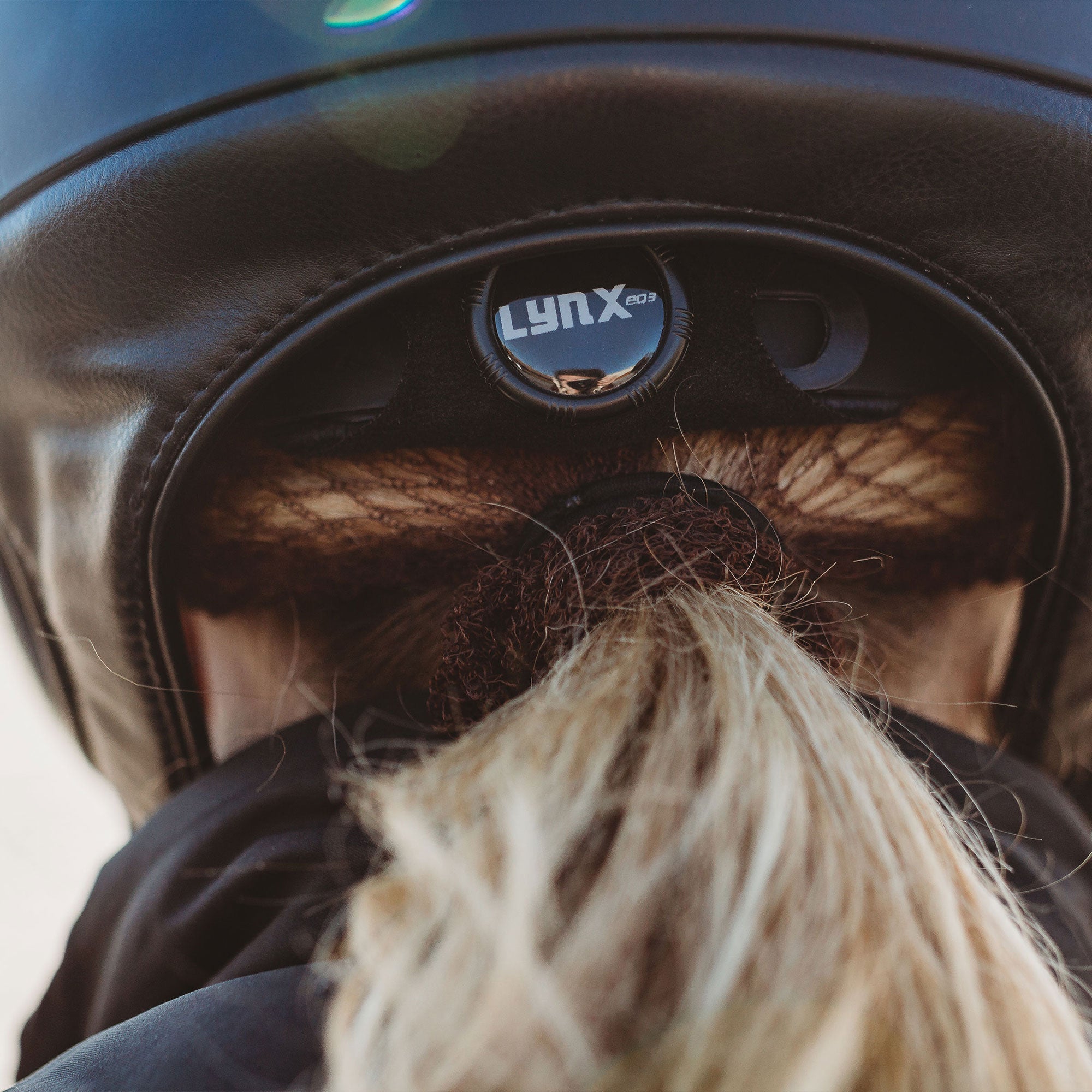 Back on Track Lynx smooth top riding helmet with sleek design, safety features, and infrared comfort lining