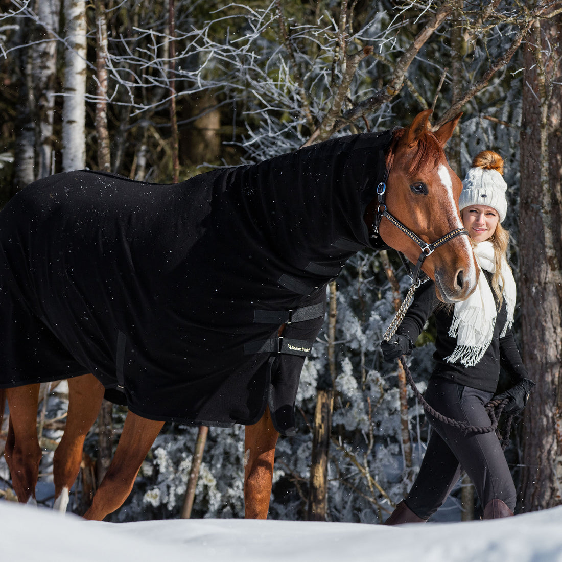 horses winter