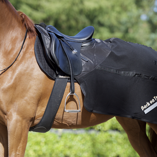 The Benefits of Therapeutic Blankets (And Why Your Horse Needs One)