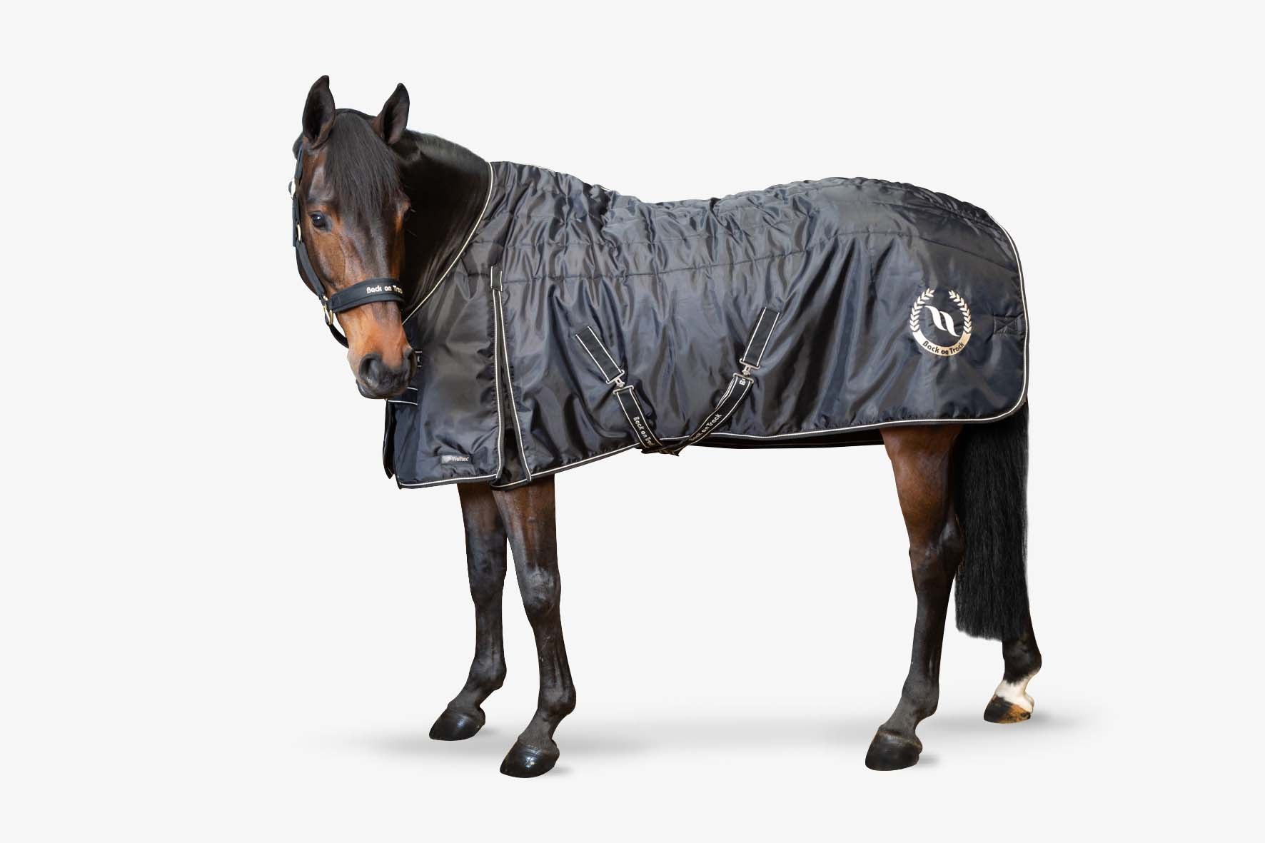 Why Every Horse Owner Needs a Therapy Blanket On Hand