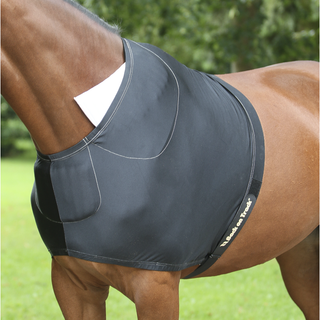 The Importance of an Equine Shoulder Guard