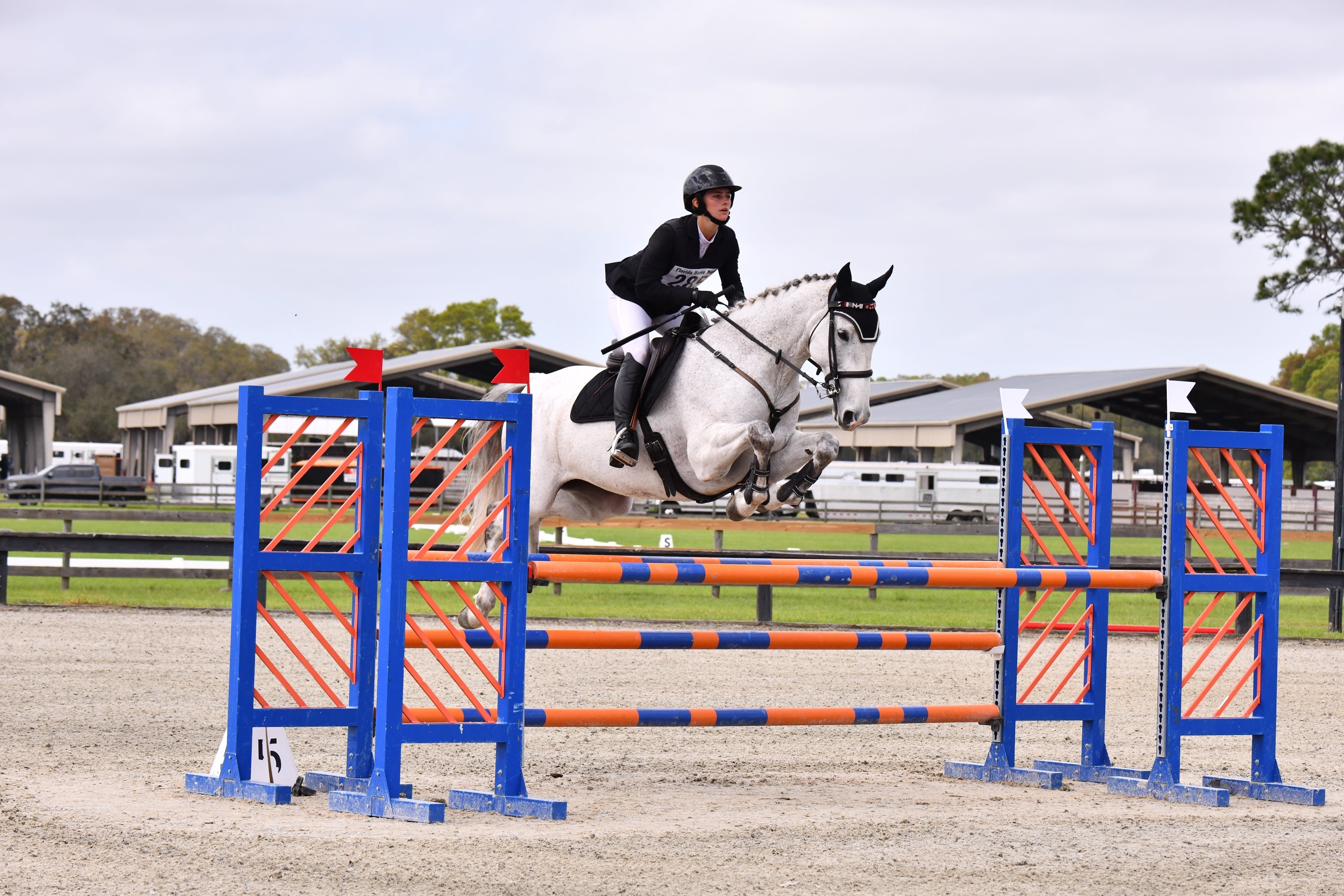 Lessons From a 20-Year-Old FEI Event Rider: Advice for the Next Generation