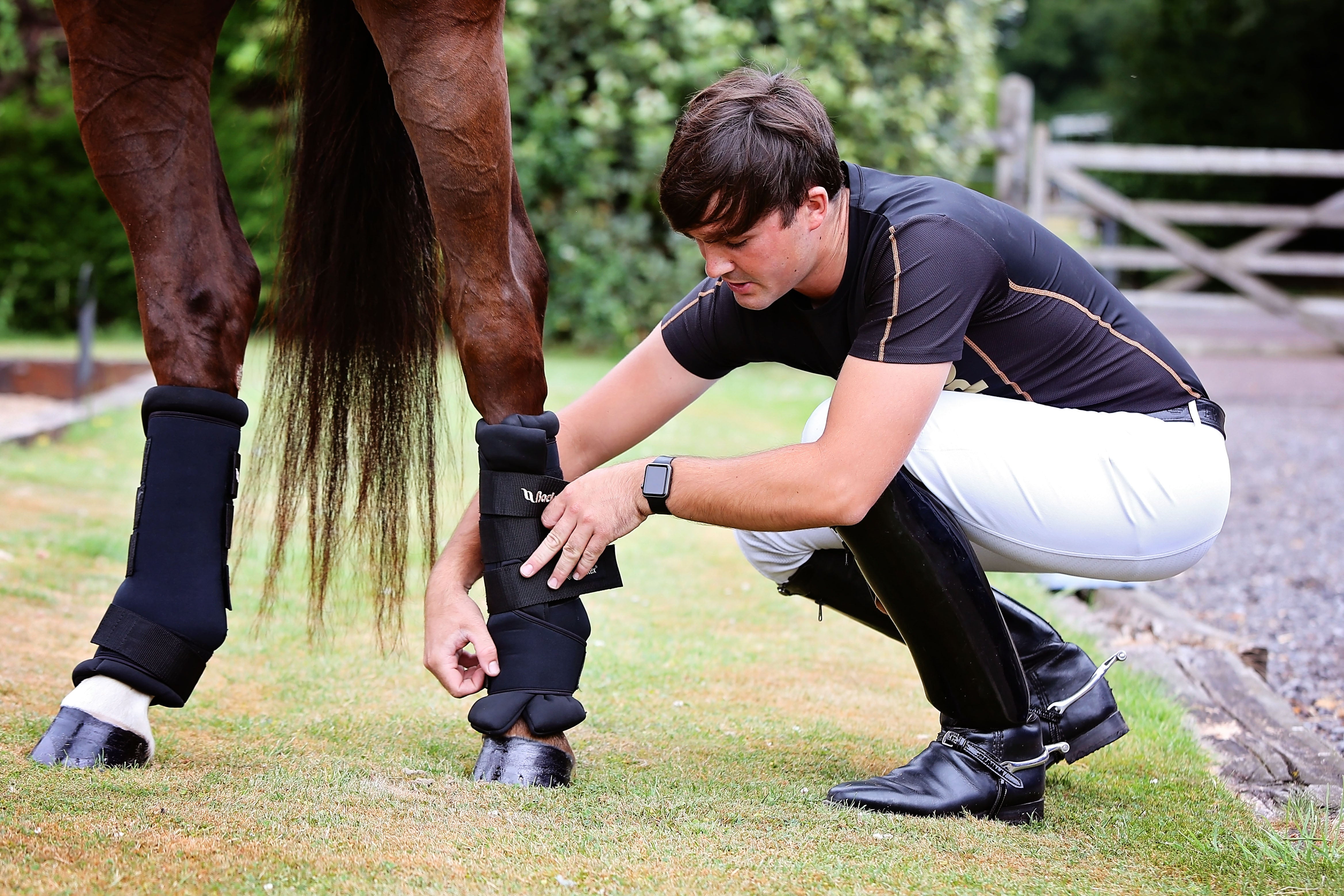 The Need-To-Know’s About Back On Track® Technology - Back on Track USA