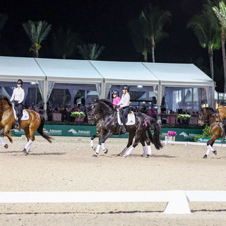 Dressage for a Cause With Allie Conti