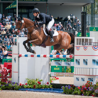 Mental Skills and the Equestrian Athlete