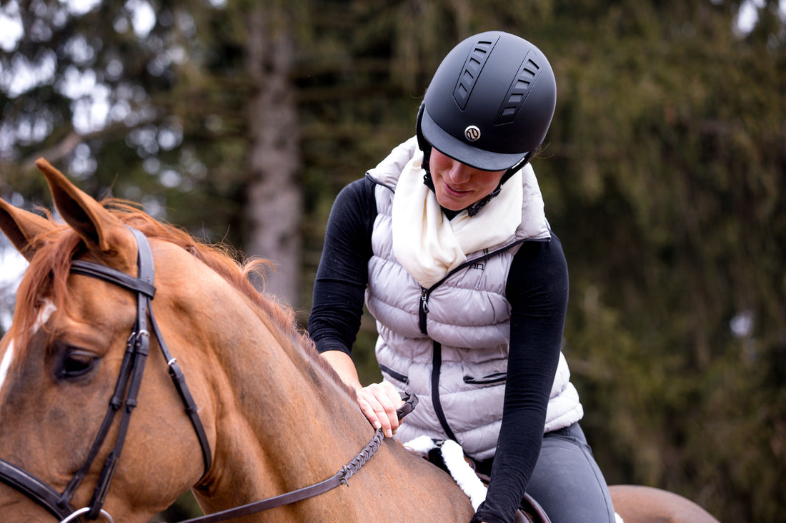 5 Great Tips For Taking Care Of Your Horse
