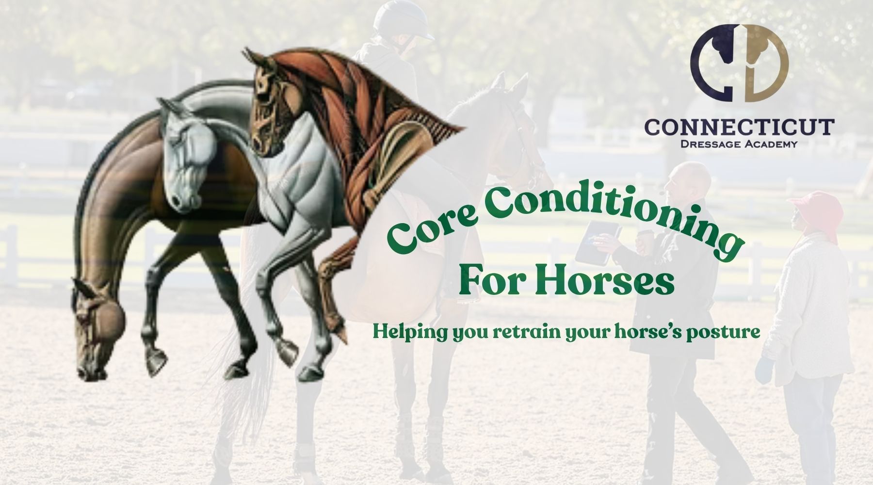 Back on Track Proudly Supports Core Conditioning for Horses - Critical but often Overlooked