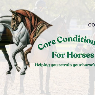 Back on Track Proudly Supports Core Conditioning for Horses - Critical but often Overlooked